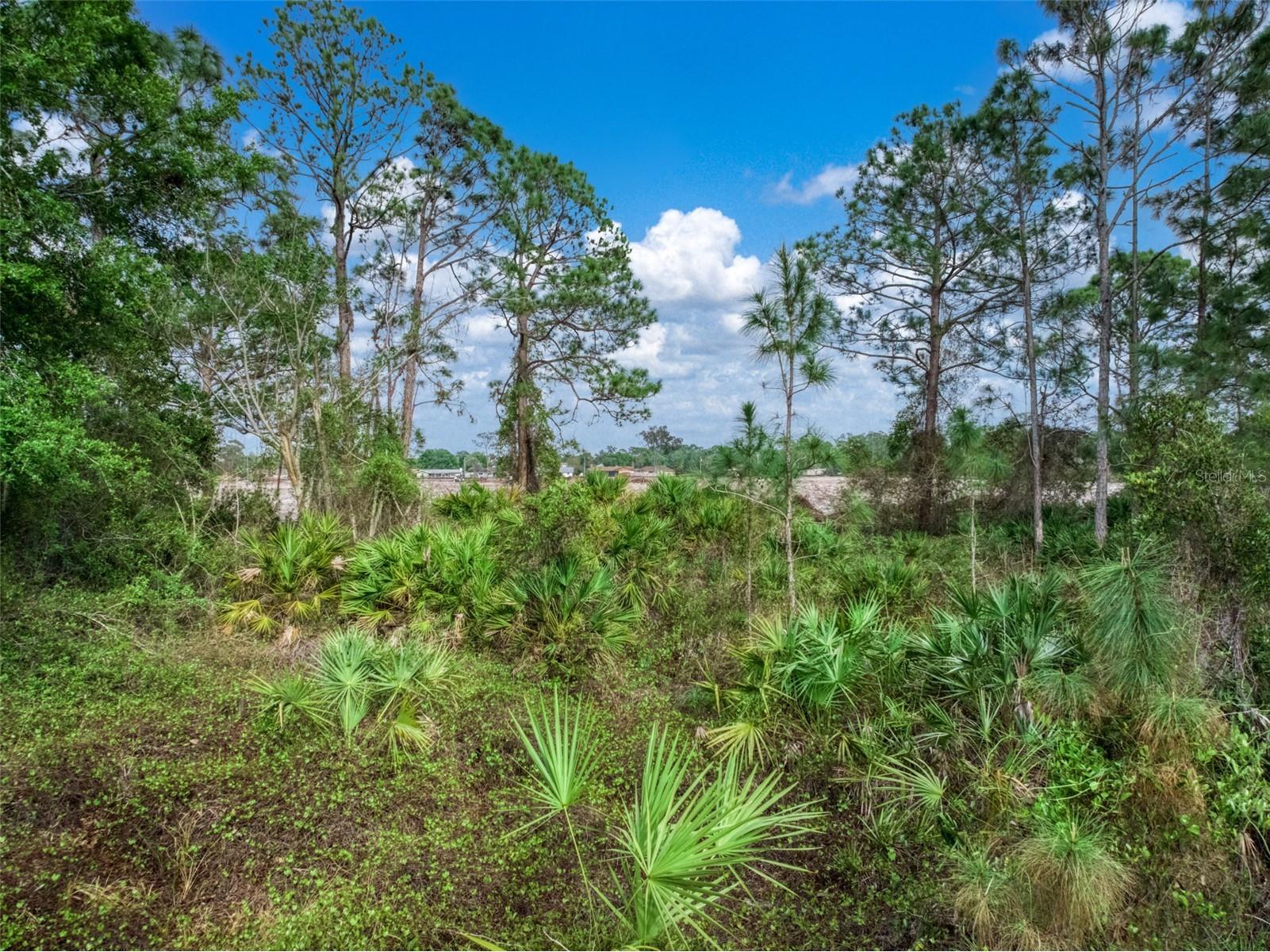 4814 Lakewood Road Sebring FL 33875 O6391305 image12