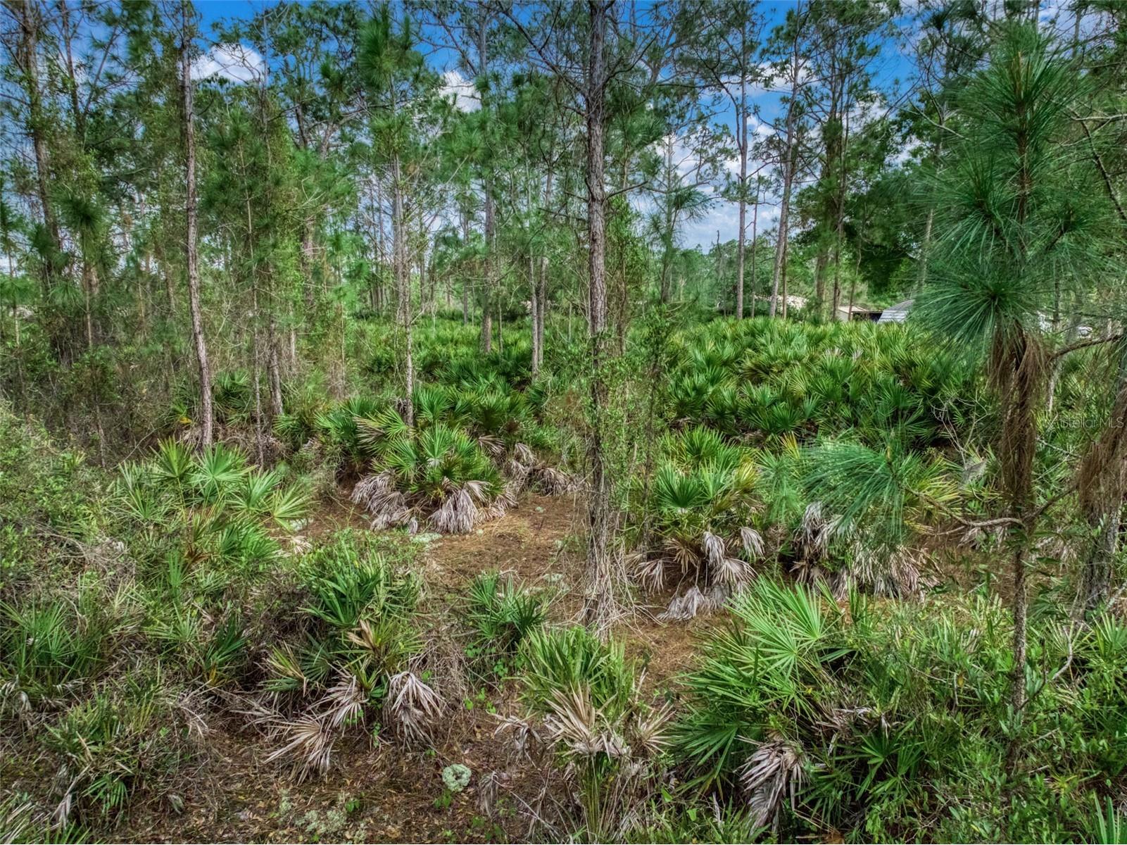 4814 Lakewood Road Sebring FL 33875 O6391305 image16