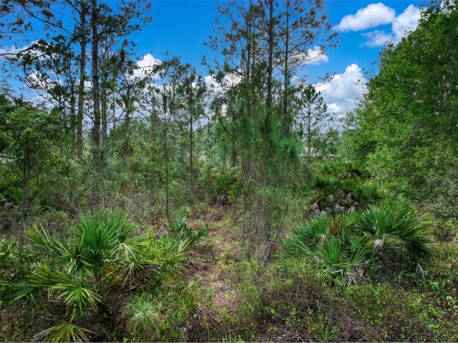 4814 Lakewood Road Sebring FL 33875 O6391305 image17