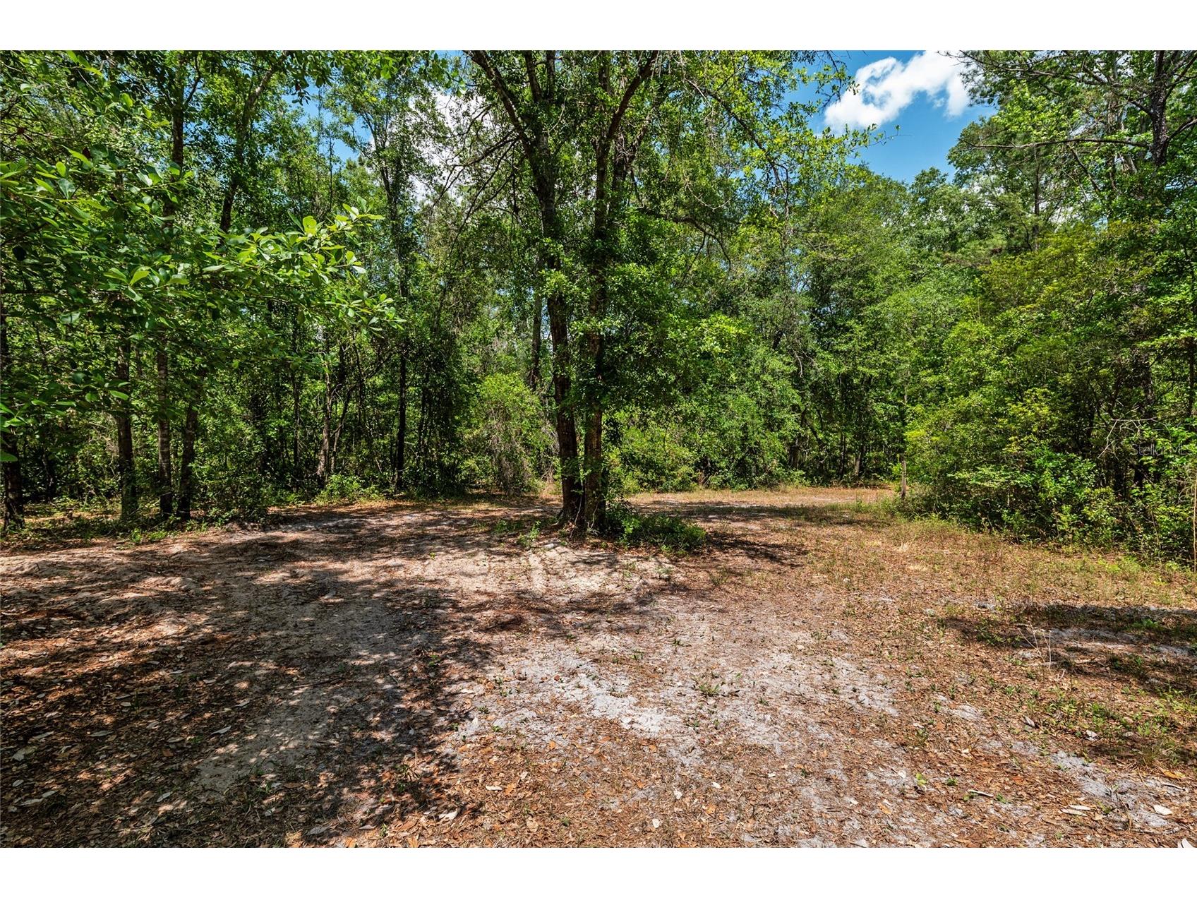 4814 NW 244 Avenue Alachua FL 32615 GC539967 image10