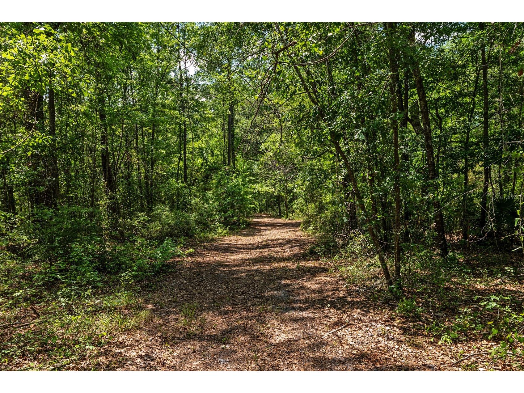 4814 NW 244 Avenue Alachua FL 32615 GC539967 image11
