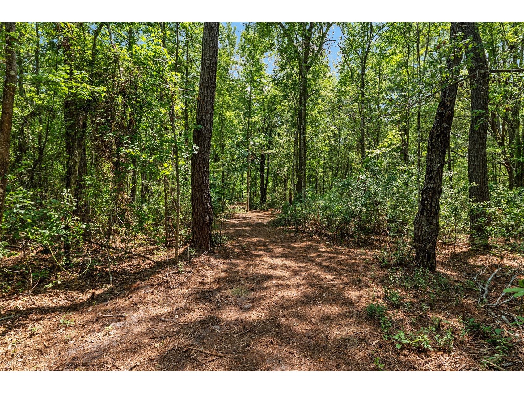 4814 NW 244 Avenue Alachua FL 32615 GC539967 image12