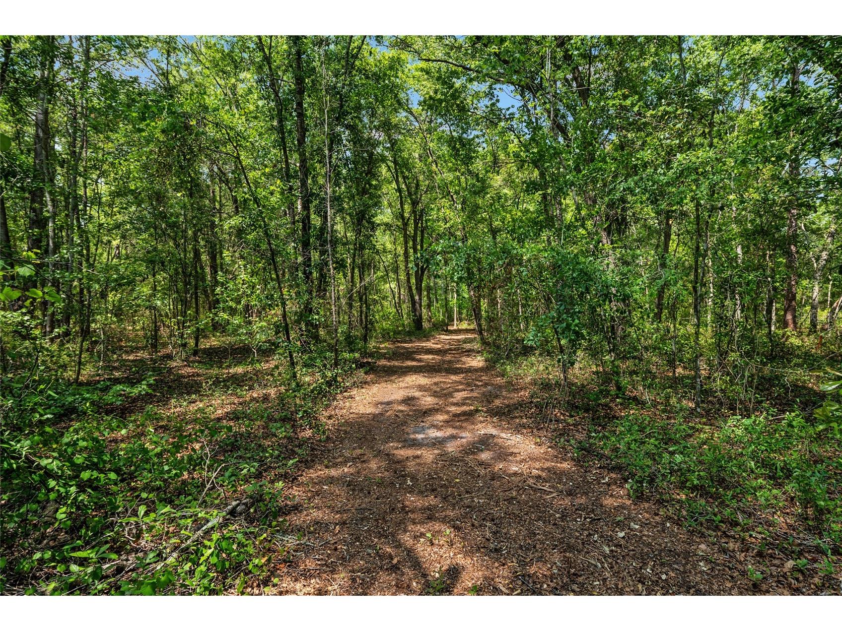 4814 NW 244 Avenue Alachua FL 32615 GC539967 image13