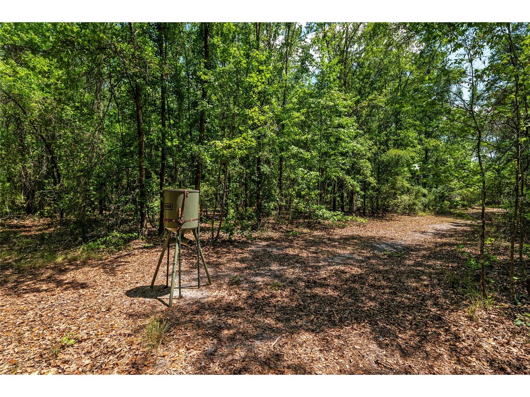 4814 NW 244 Avenue Alachua FL 32615 GC539967 image15