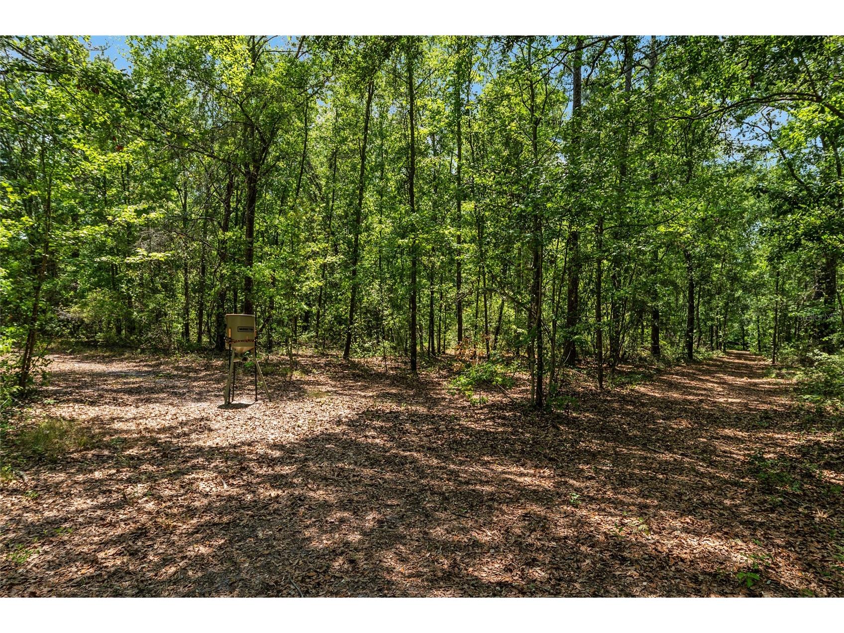 4814 NW 244 Avenue Alachua FL 32615 GC539967 image16
