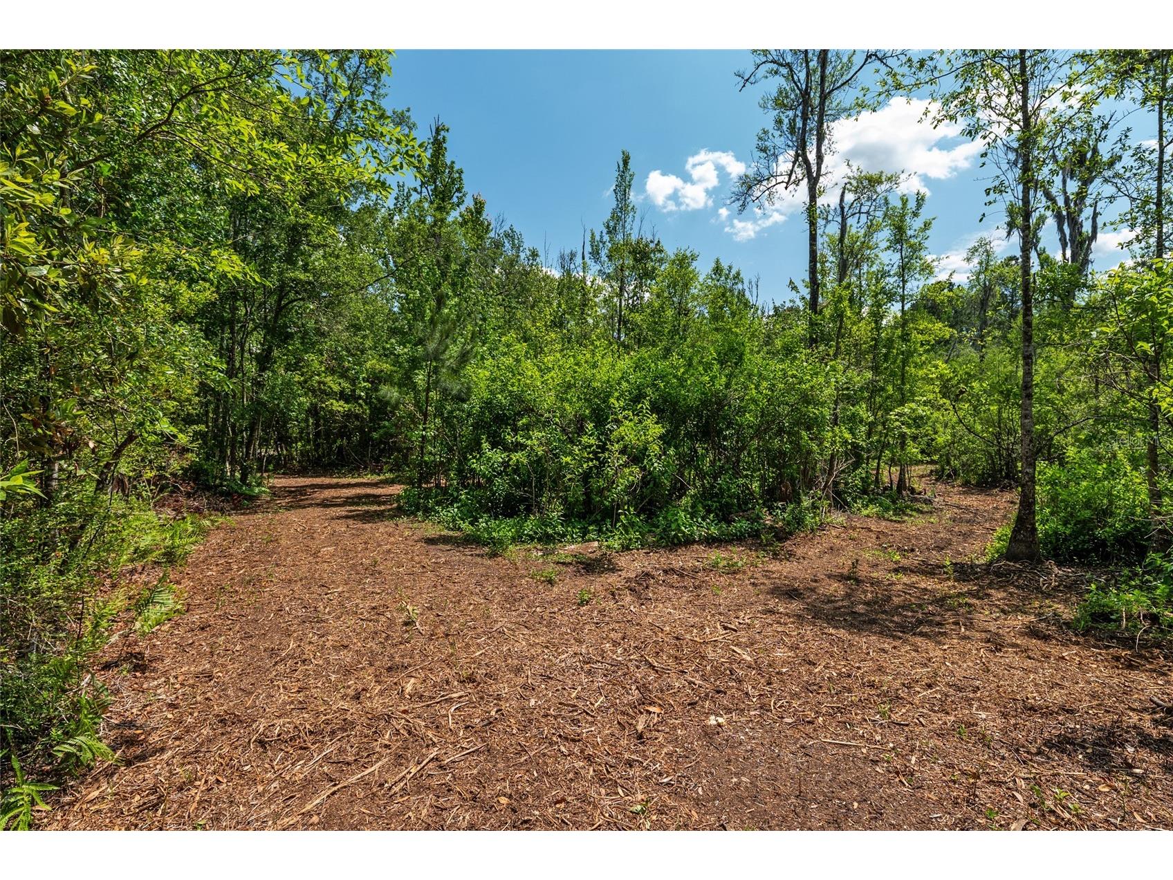 4814 NW 244 Avenue Alachua FL 32615 GC539967 image19