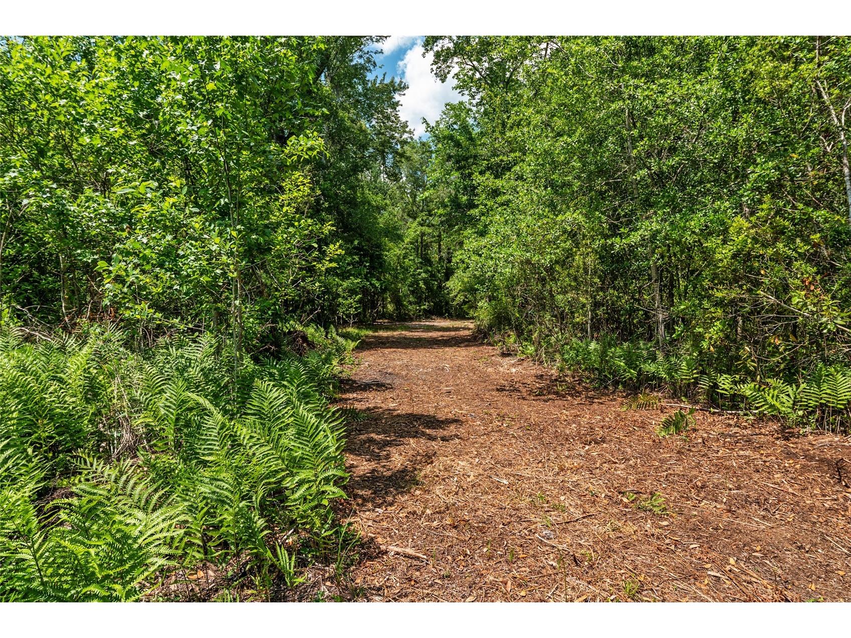 4814 NW 244 Avenue Alachua FL 32615 GC539967 image20