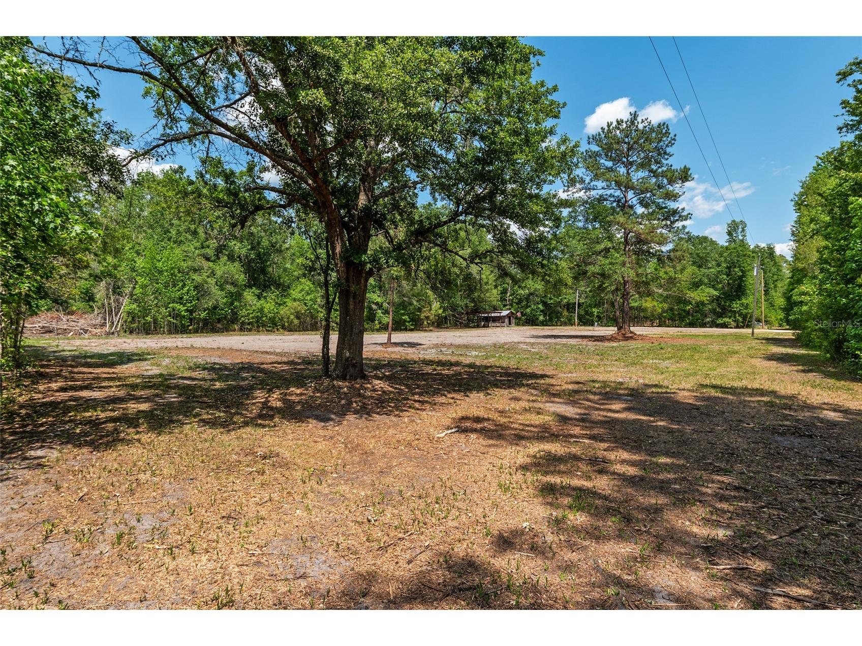 4814 NW 244 Avenue Alachua FL 32615 GC539967 image22