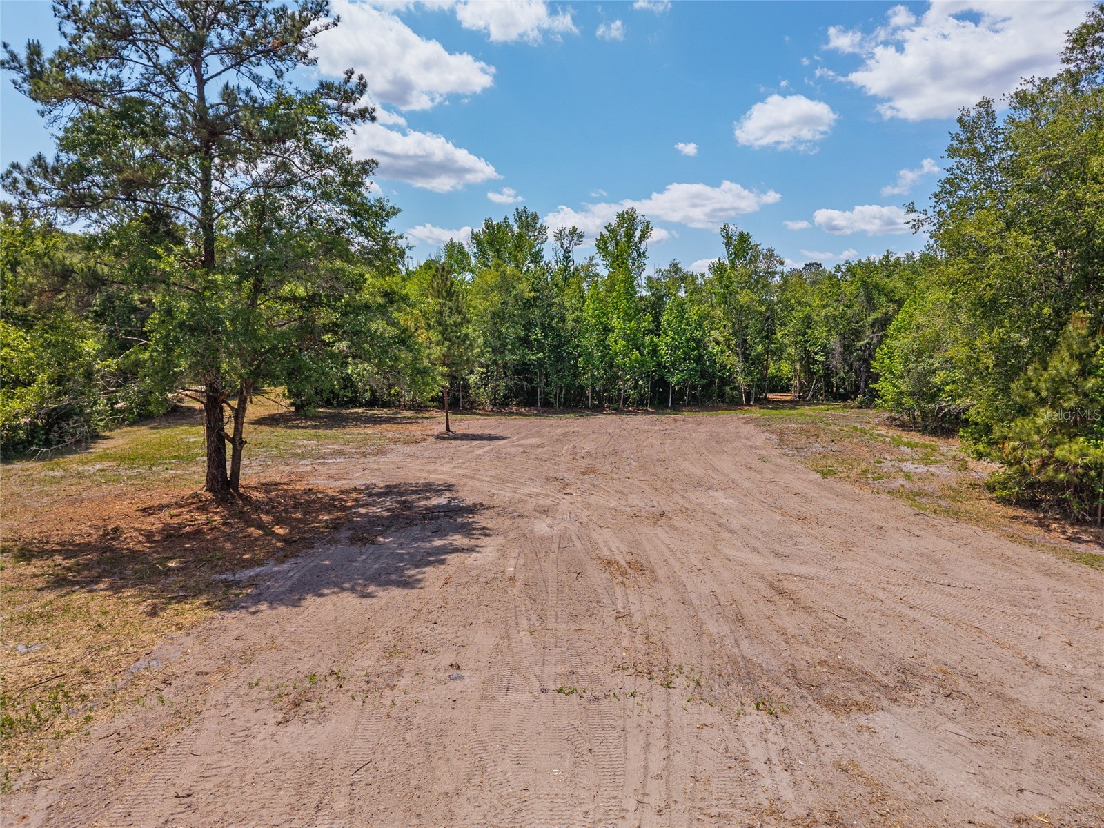 4814 NW 244 Avenue Alachua FL 32615 GC539967 image29