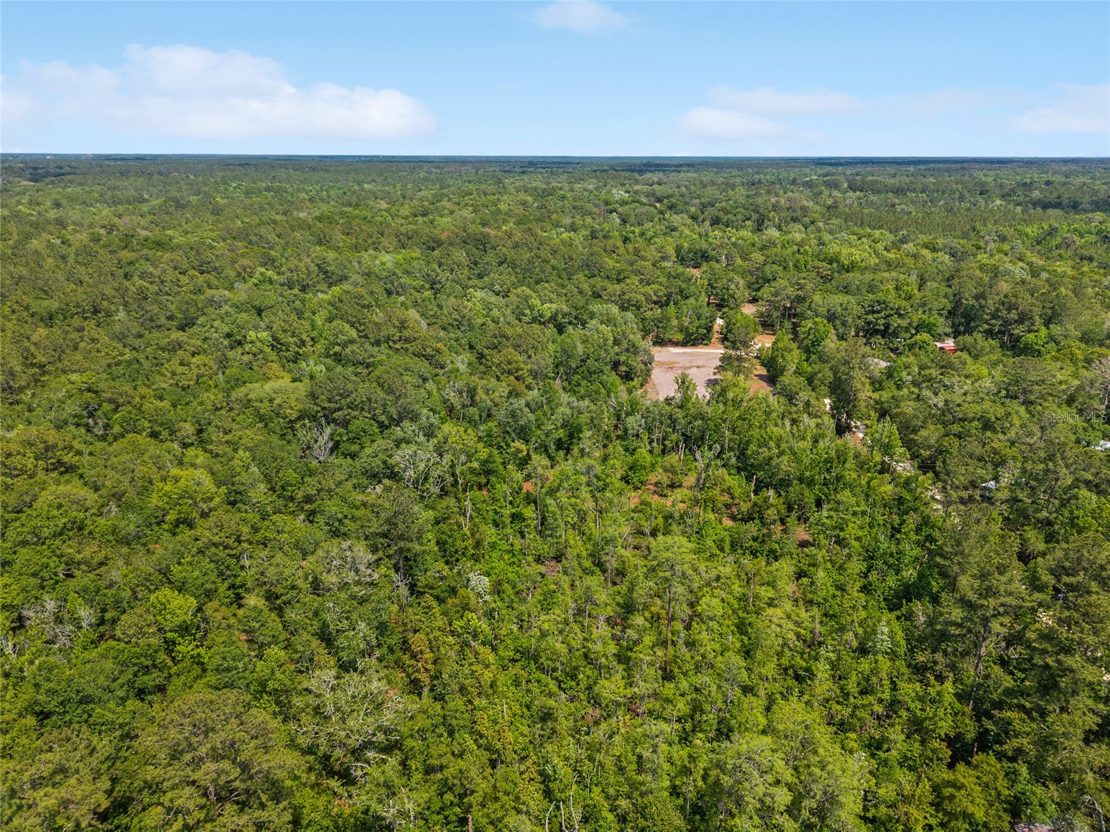 4814 NW 244 Avenue Alachua FL 32615 GC539967 image36