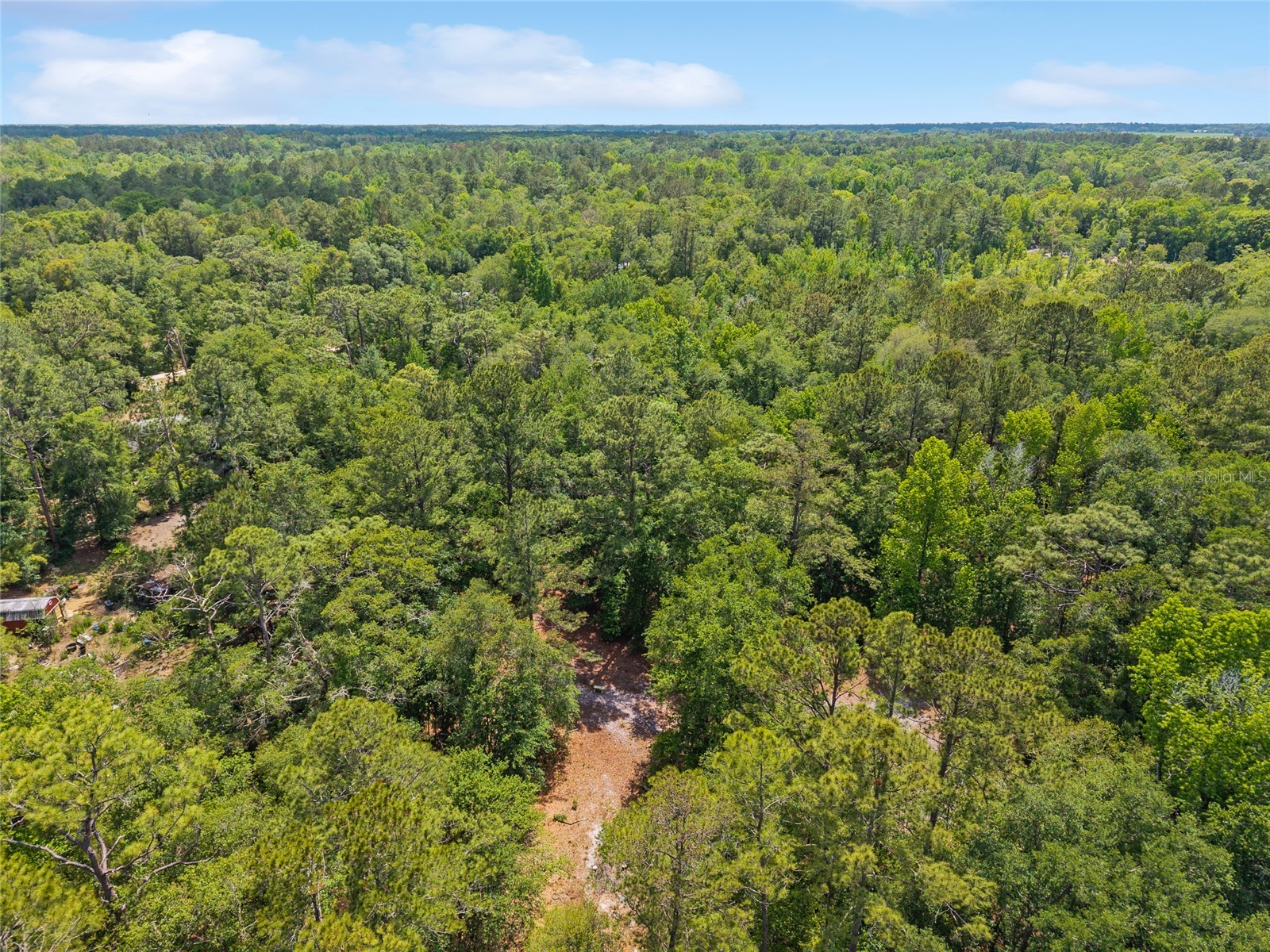 4814 NW 244 Avenue Alachua FL 32615 GC539967 image39