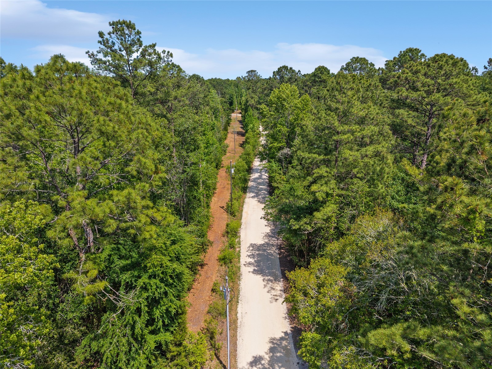 4814 NW 244 Avenue Alachua FL 32615 GC539967 image45