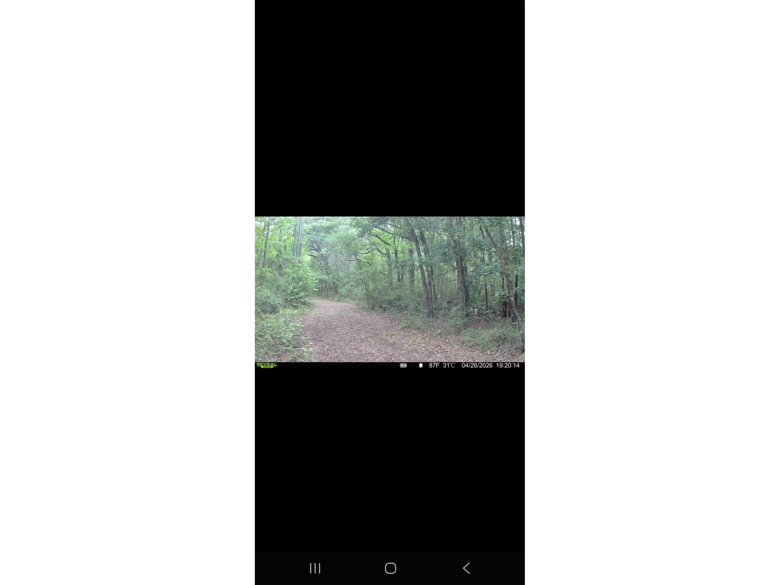4814 NW 244 Avenue Alachua FL 32615 GC539967 image49