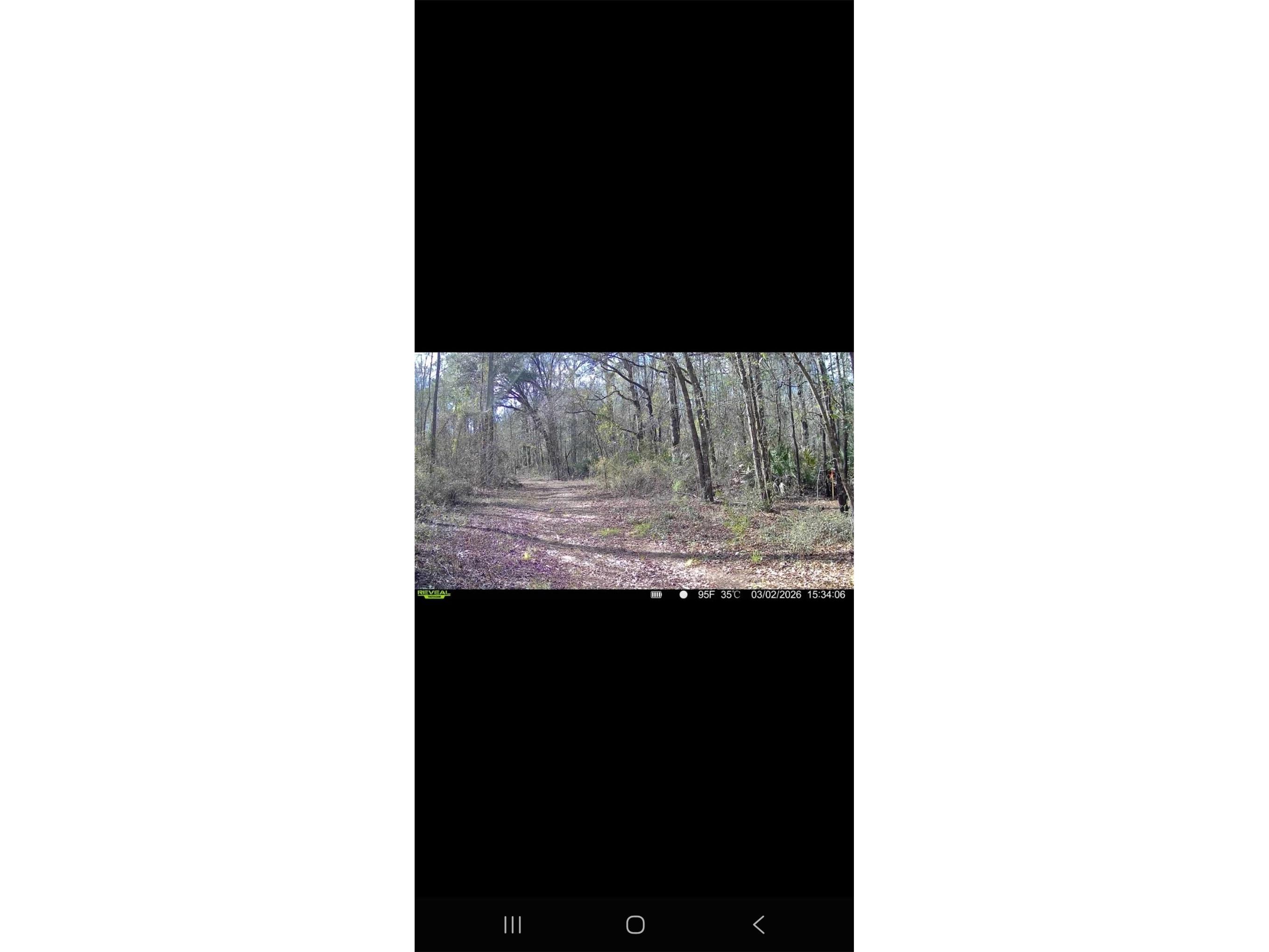 4814 NW 244 Avenue Alachua FL 32615 GC539967 image50