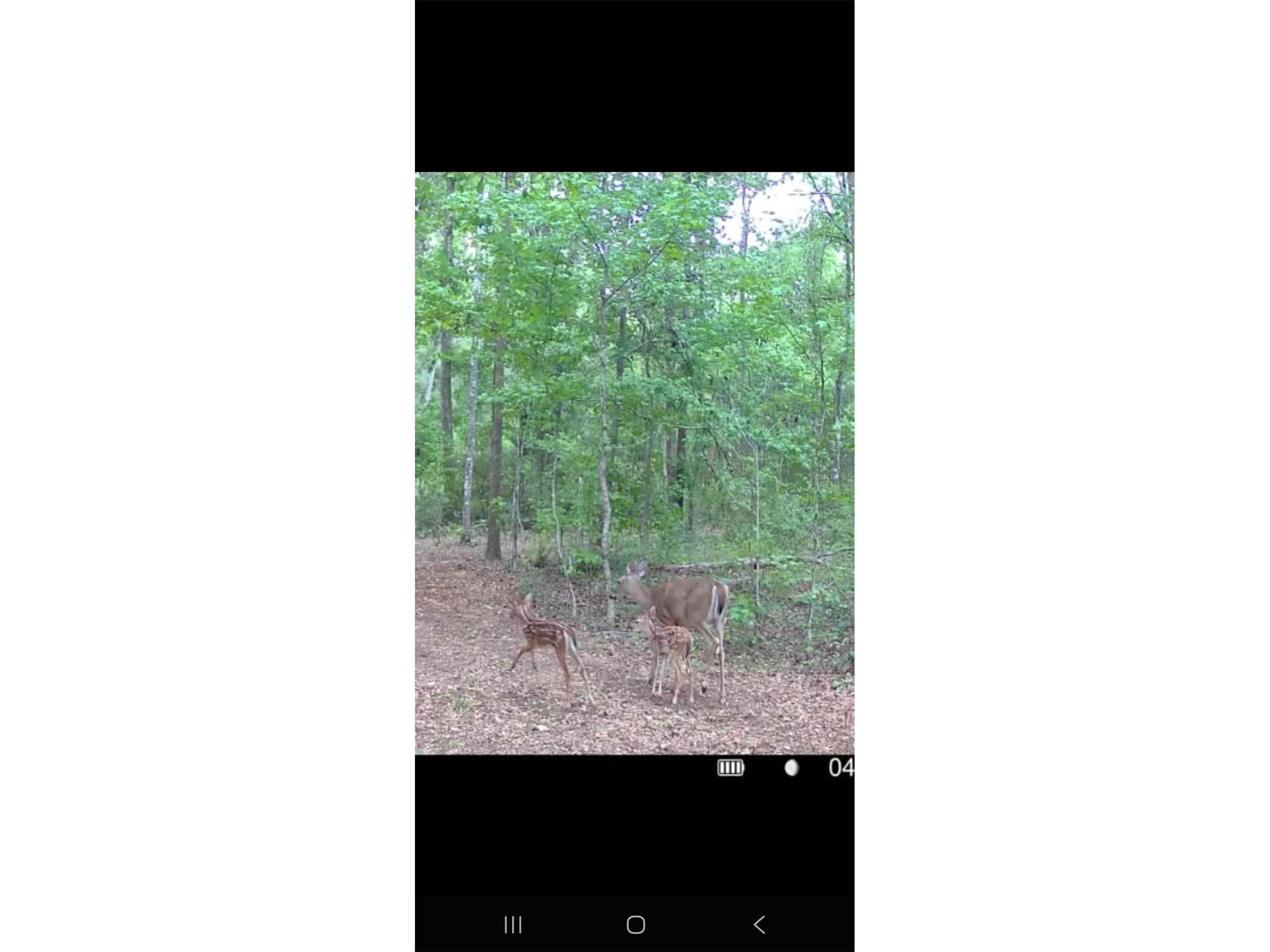 4814 NW 244 Avenue Alachua FL 32615 GC539967 image54