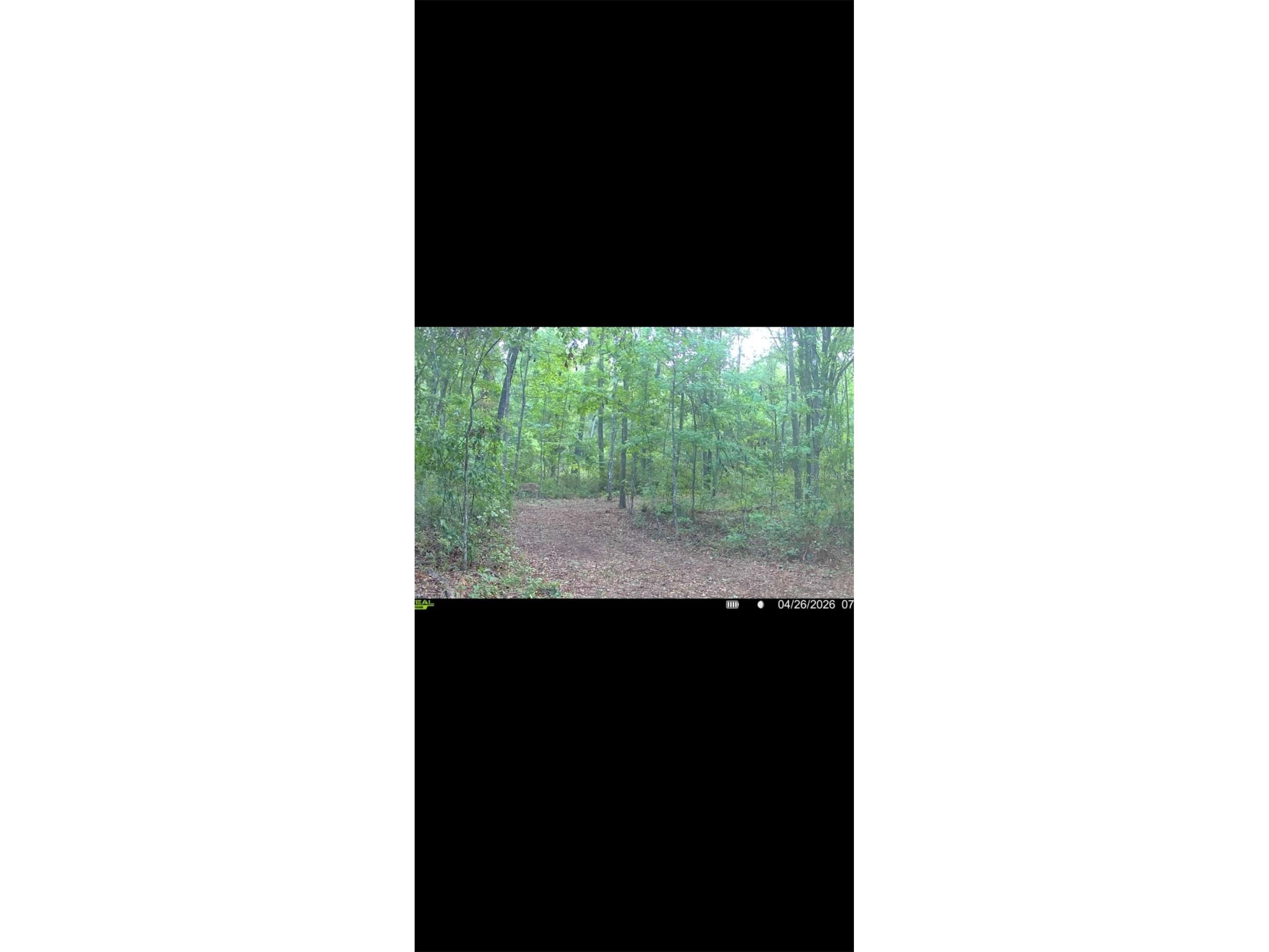 4814 NW 244 Avenue Alachua FL 32615 GC539967 image55