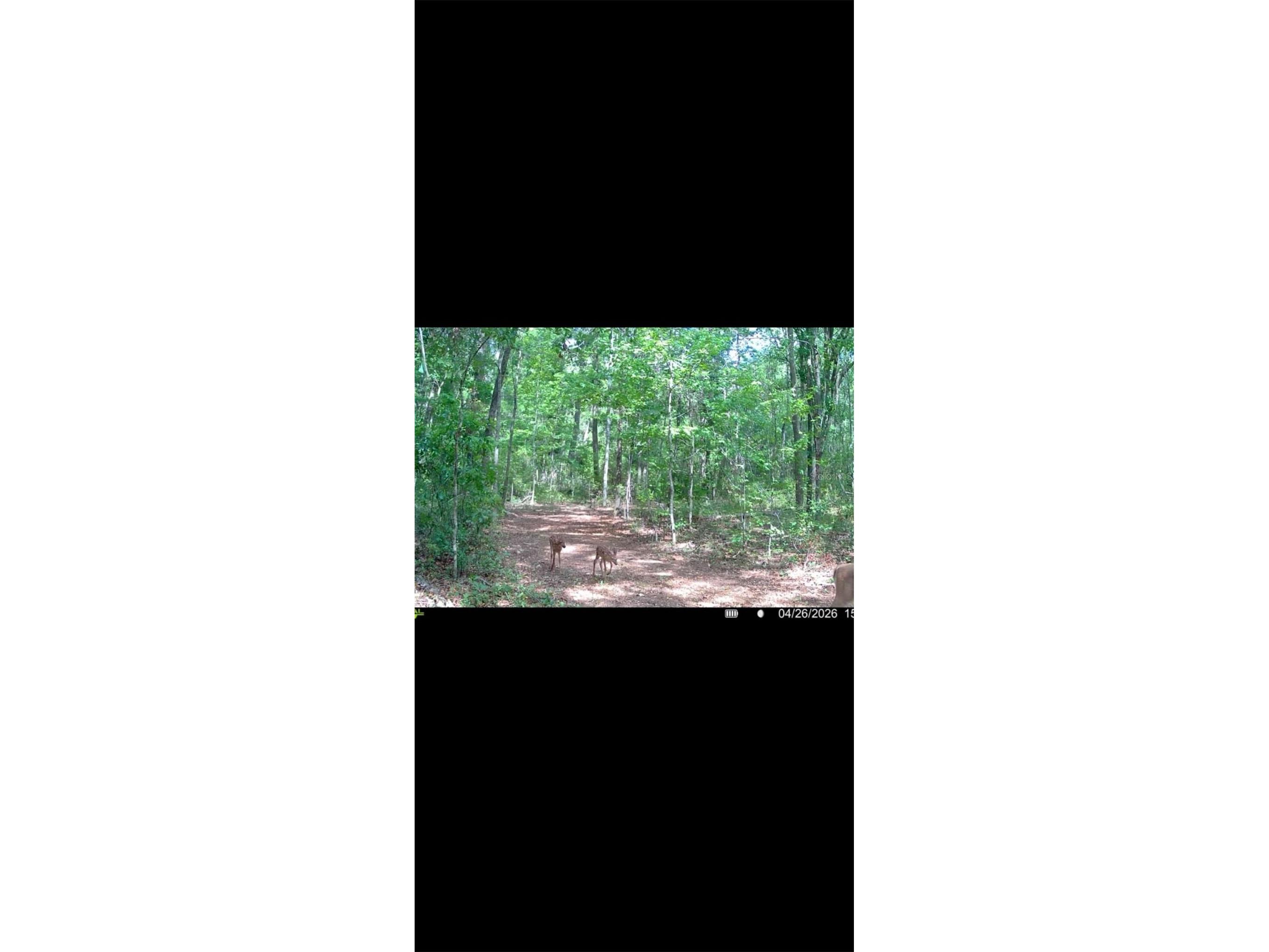 4814 NW 244 Avenue Alachua FL 32615 GC539967 image56