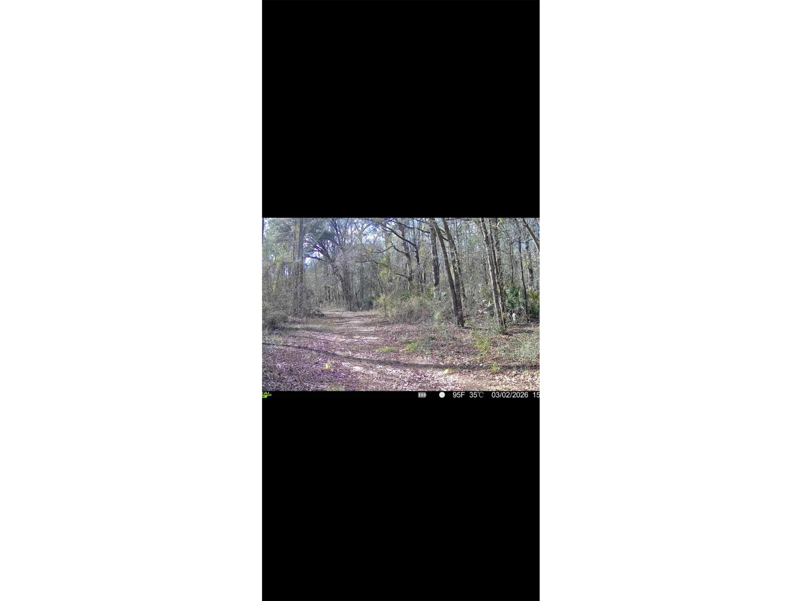 4814 NW 244 Avenue Alachua FL 32615 GC539967 image59