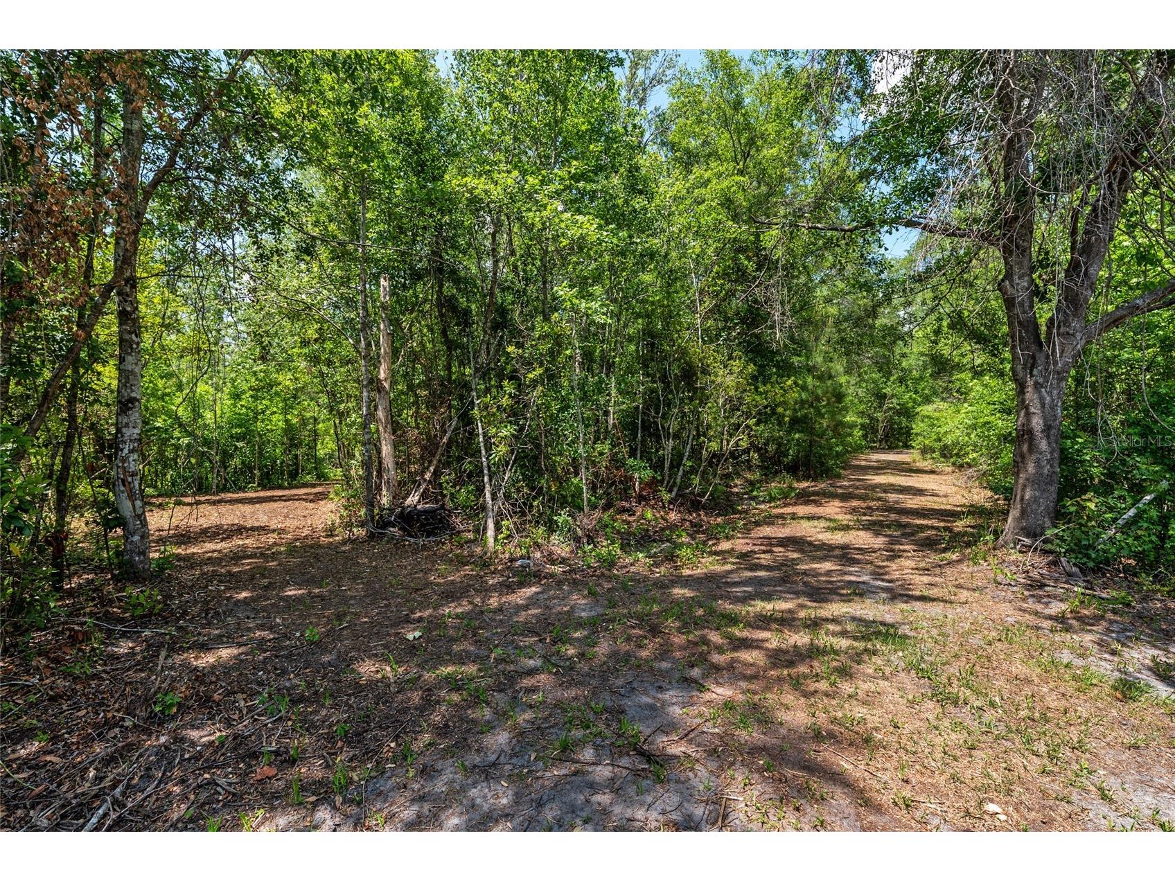 4814 NW 244 Avenue Alachua FL 32615 GC539967 image6