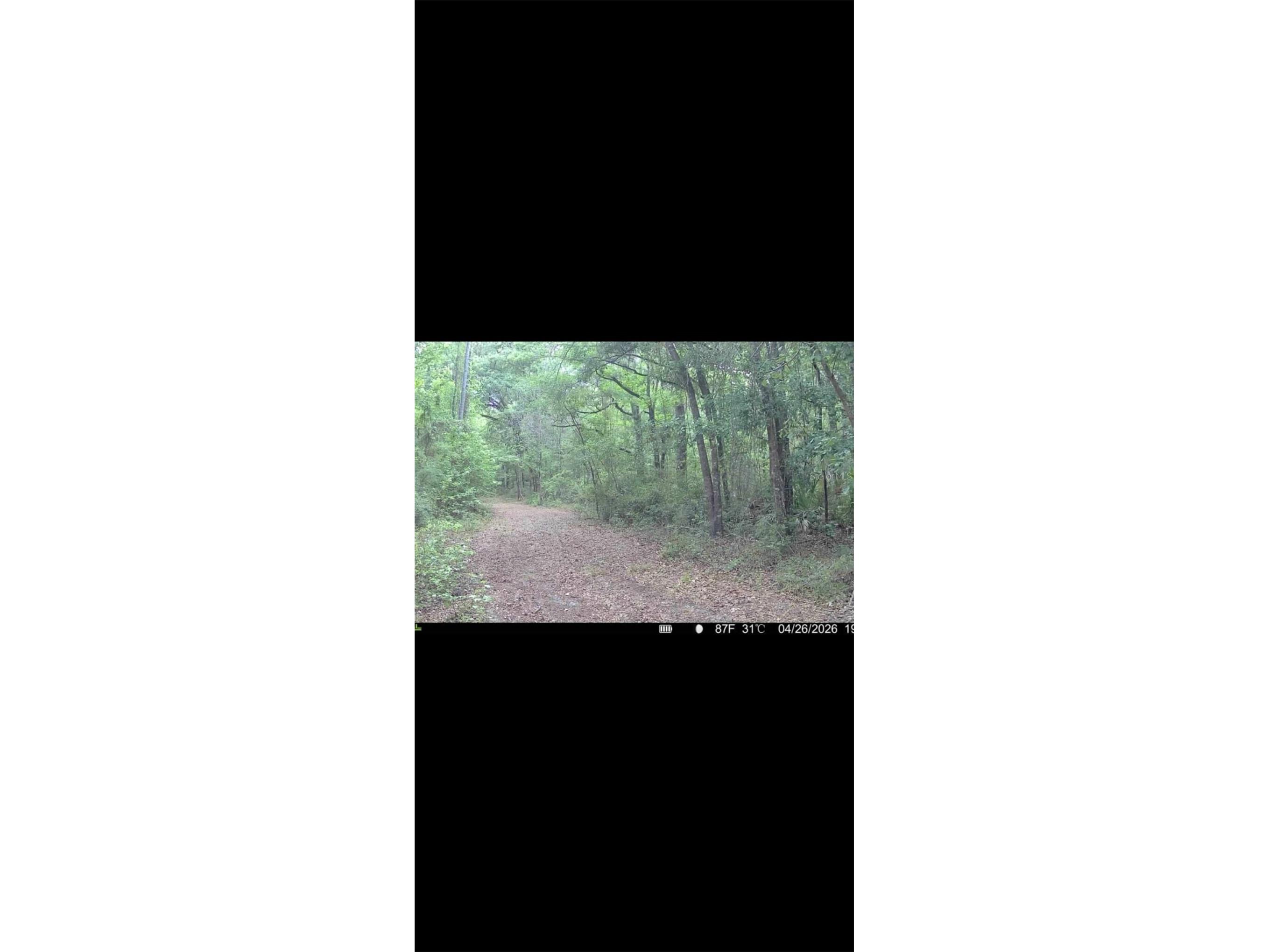 4814 NW 244 Avenue Alachua FL 32615 GC539967 image61