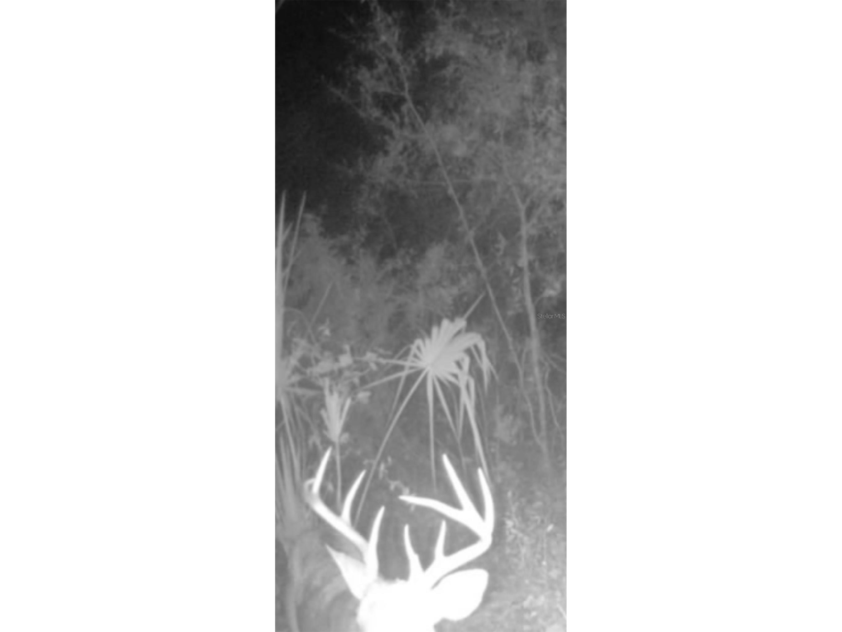 4814 NW 244 Avenue Alachua FL 32615 GC539967 image62