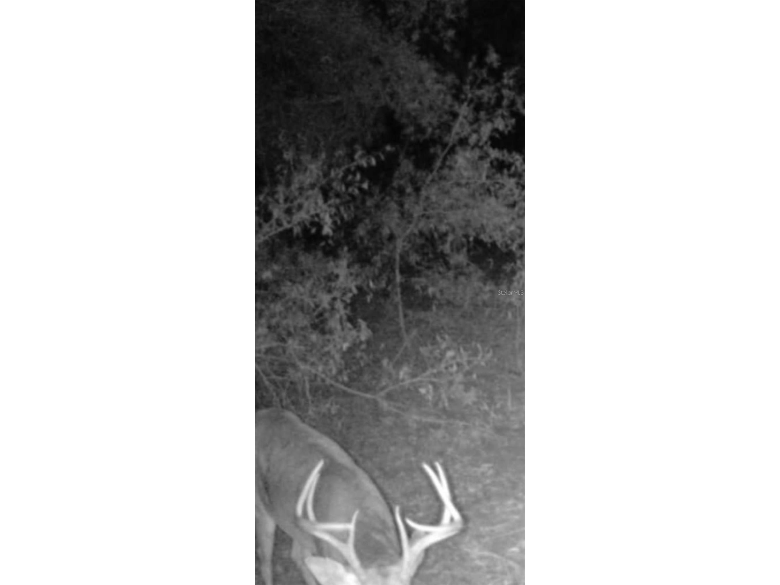 4814 NW 244 Avenue Alachua FL 32615 GC539967 image65