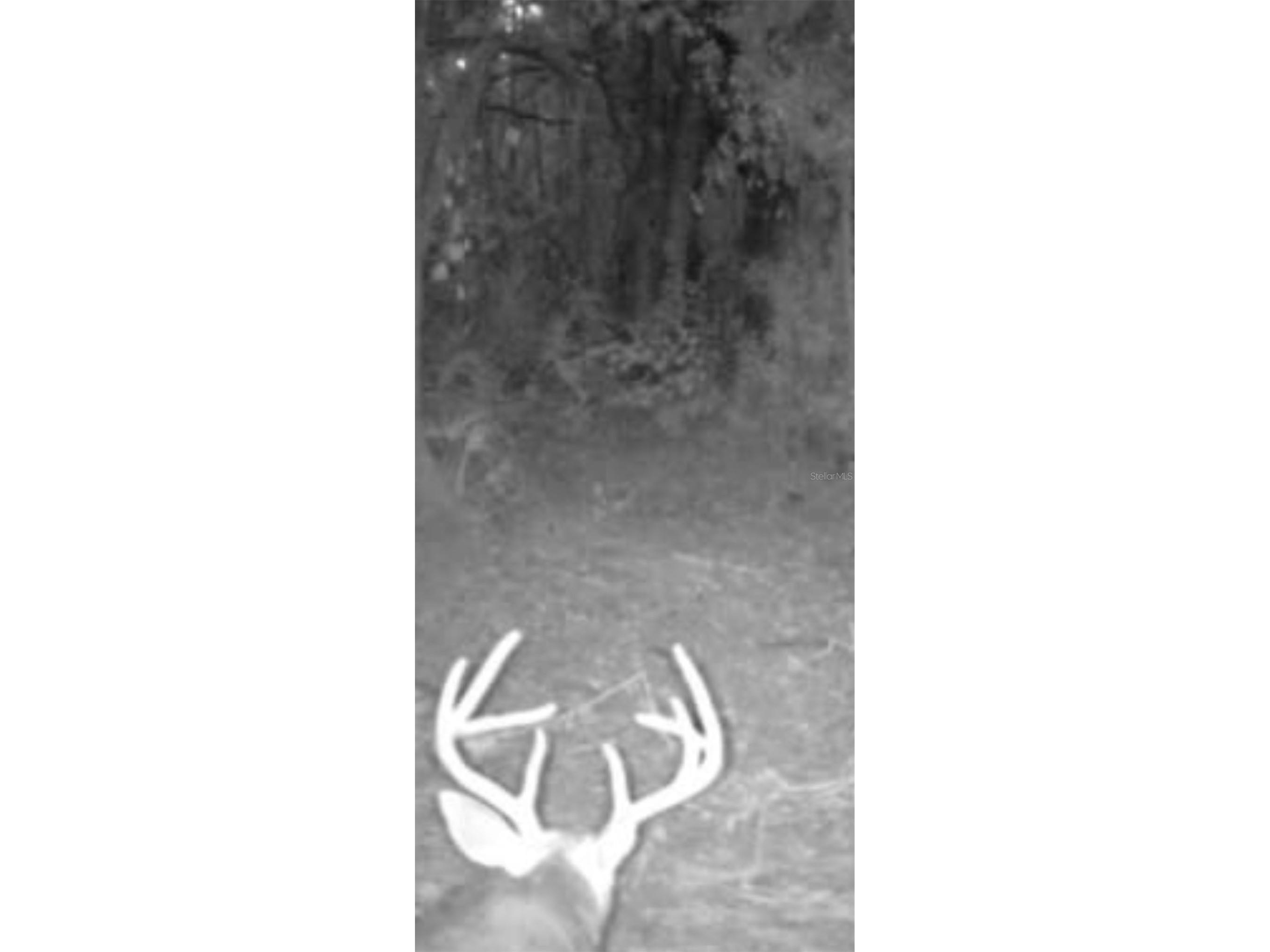 4814 NW 244 Avenue Alachua FL 32615 GC539967 image66