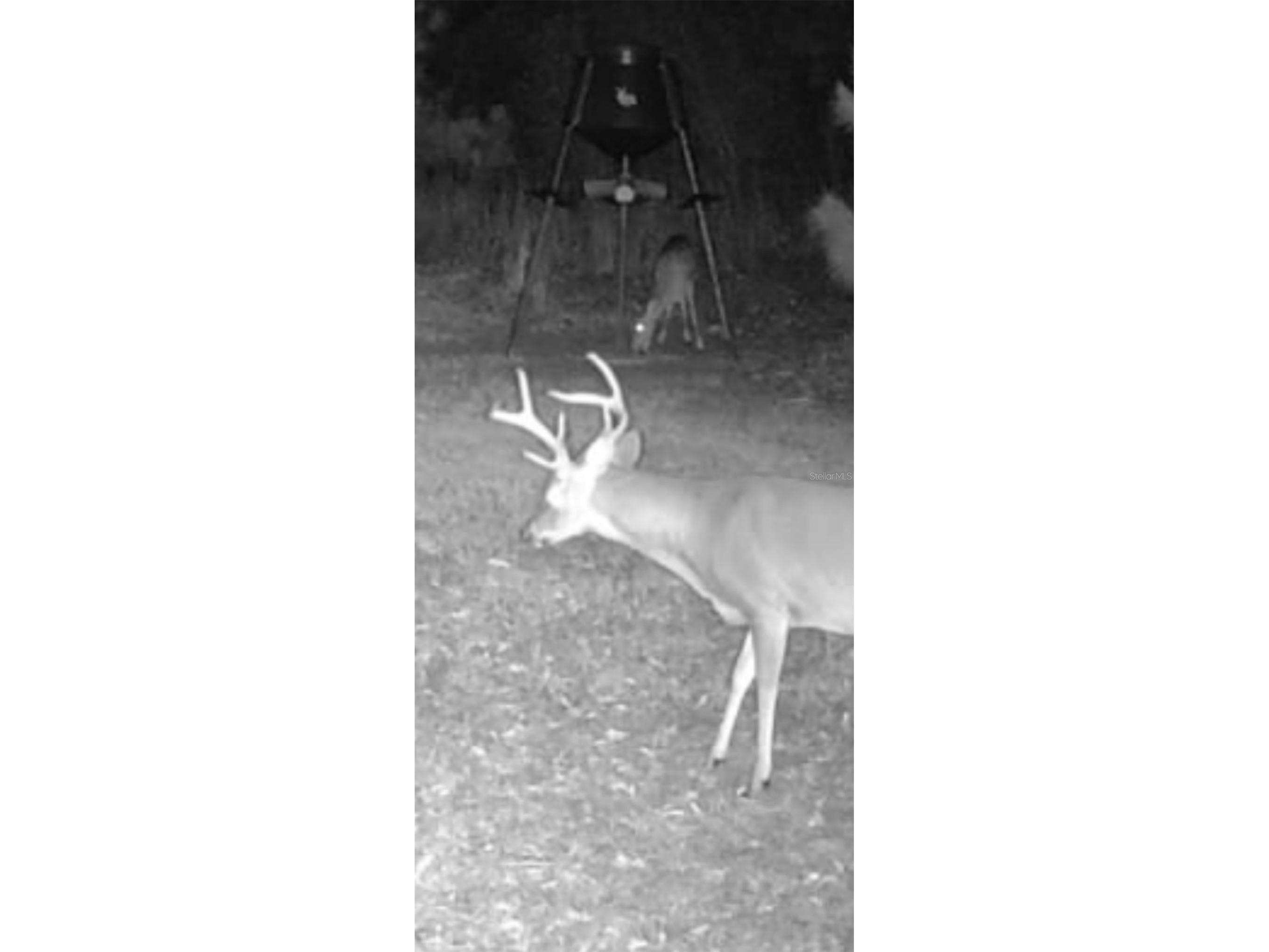 4814 NW 244 Avenue Alachua FL 32615 GC539967 image69