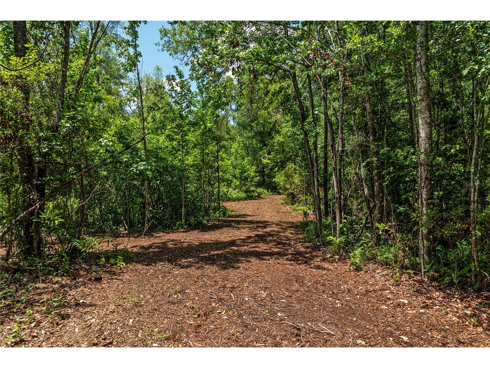 4814 NW 244 Avenue Alachua FL 32615 GC539967 image7