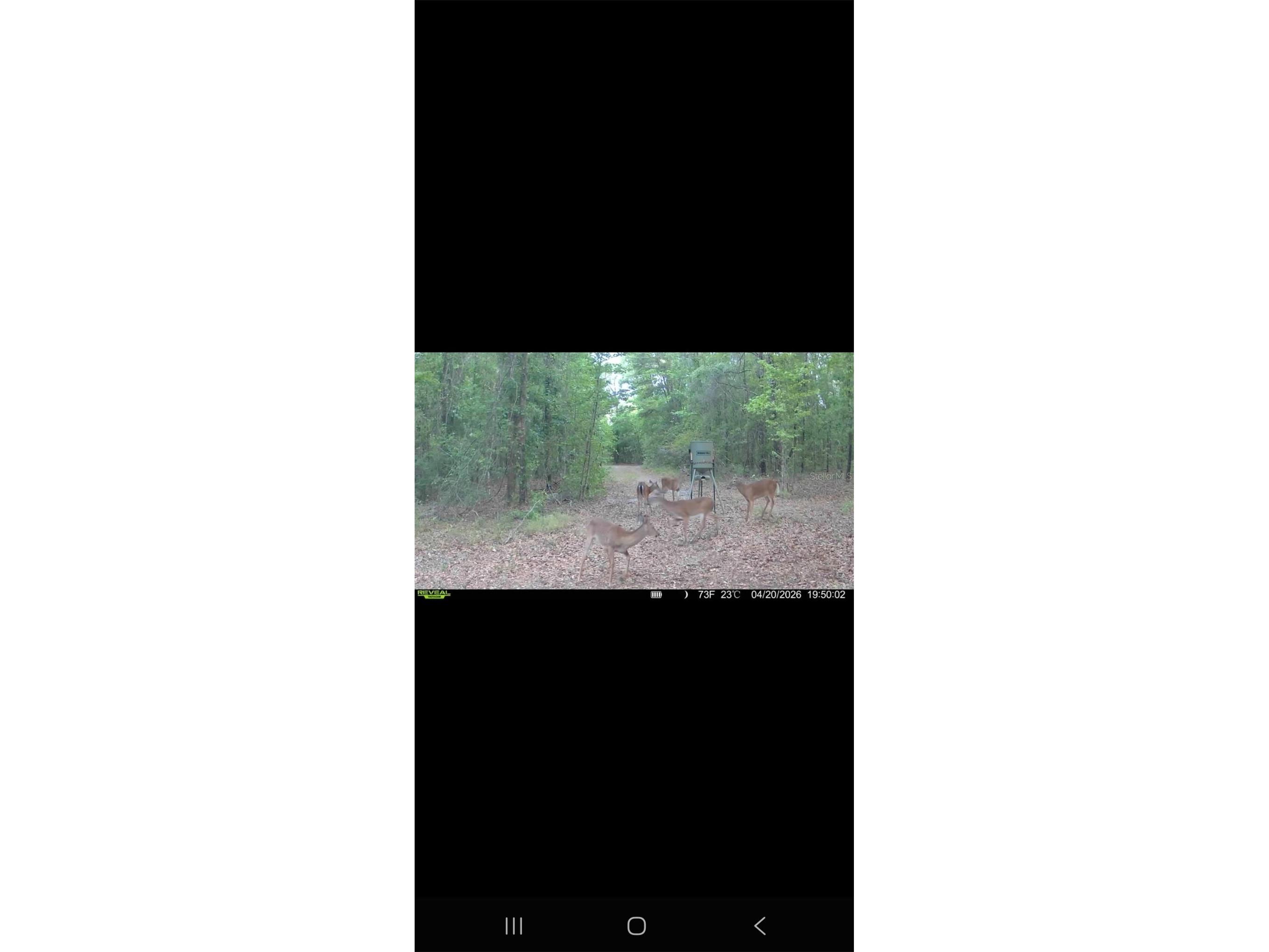 4814 NW 244 Avenue Alachua FL 32615 GC539967 image77