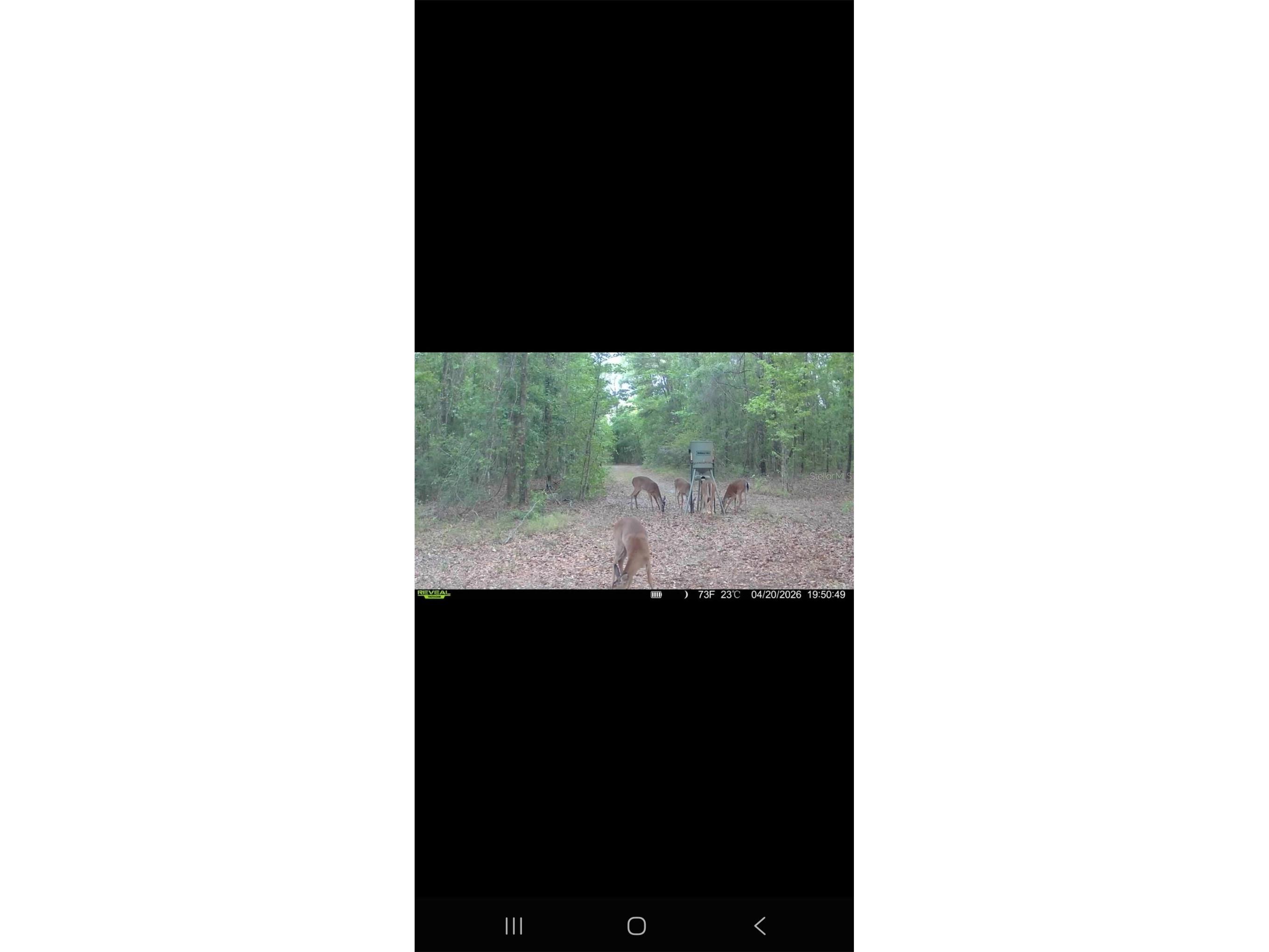 4814 NW 244 Avenue Alachua FL 32615 GC539967 image78