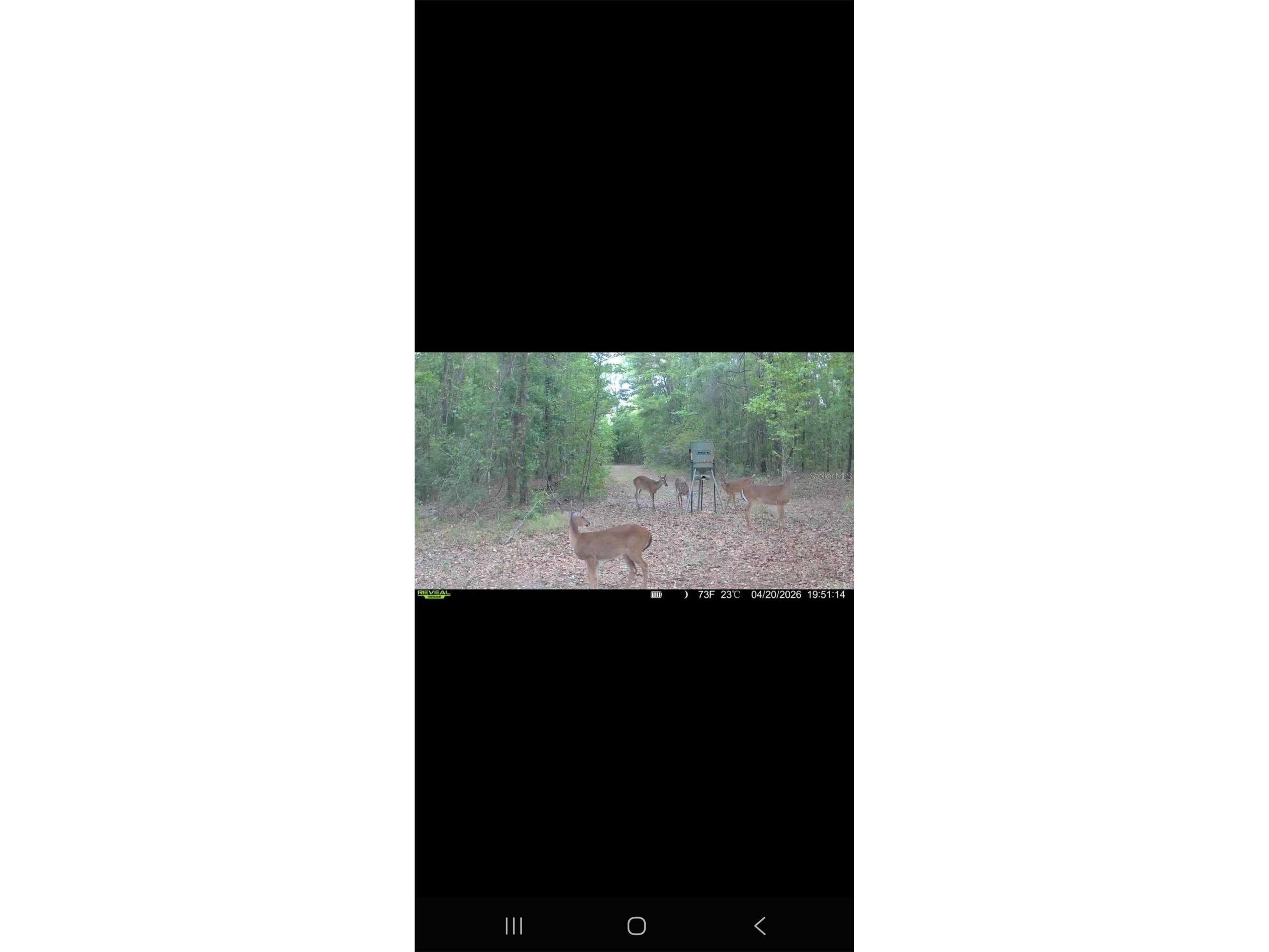 4814 NW 244 Avenue Alachua FL 32615 GC539967 image79