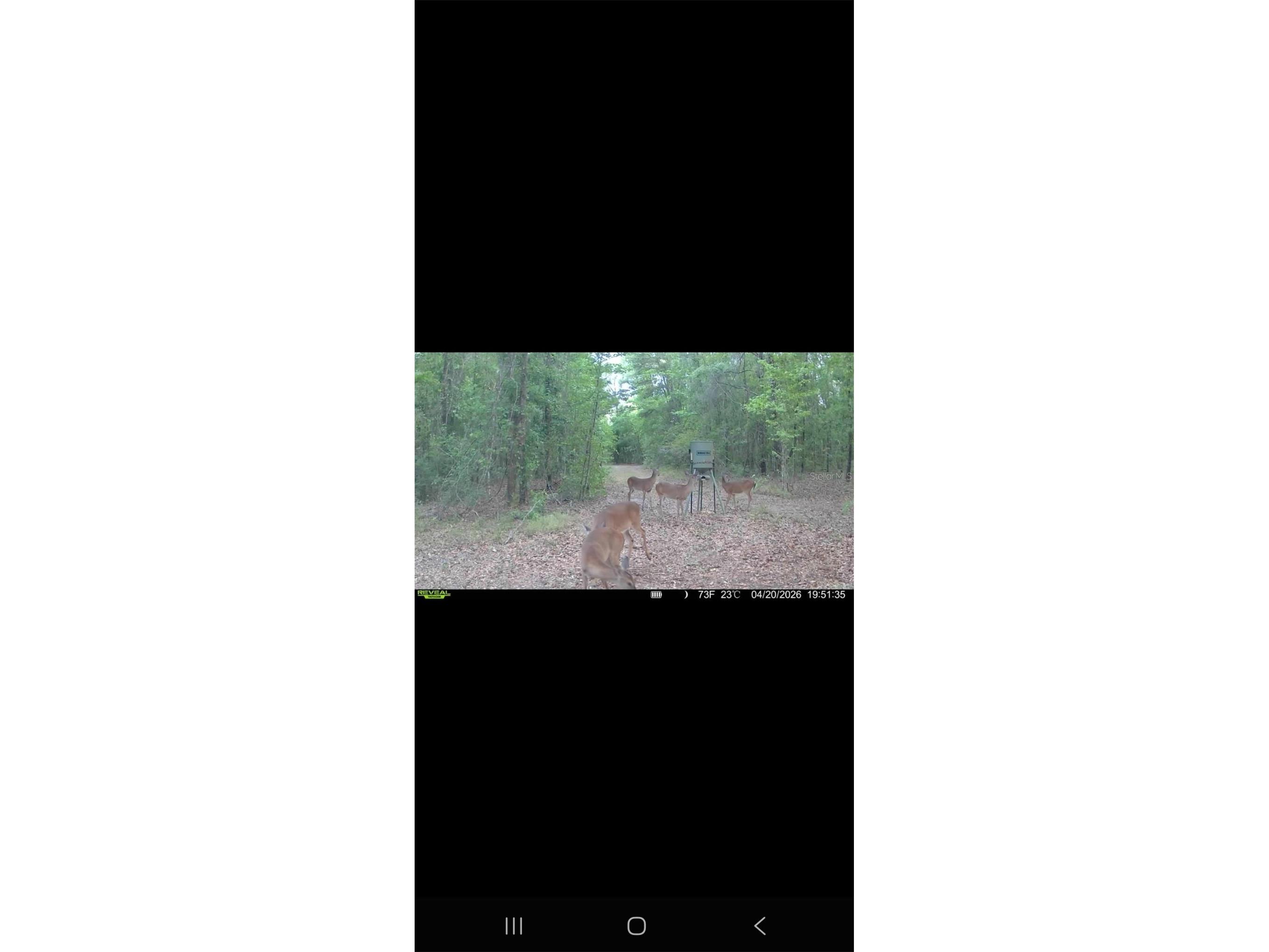 4814 NW 244 Avenue Alachua FL 32615 GC539967 image80