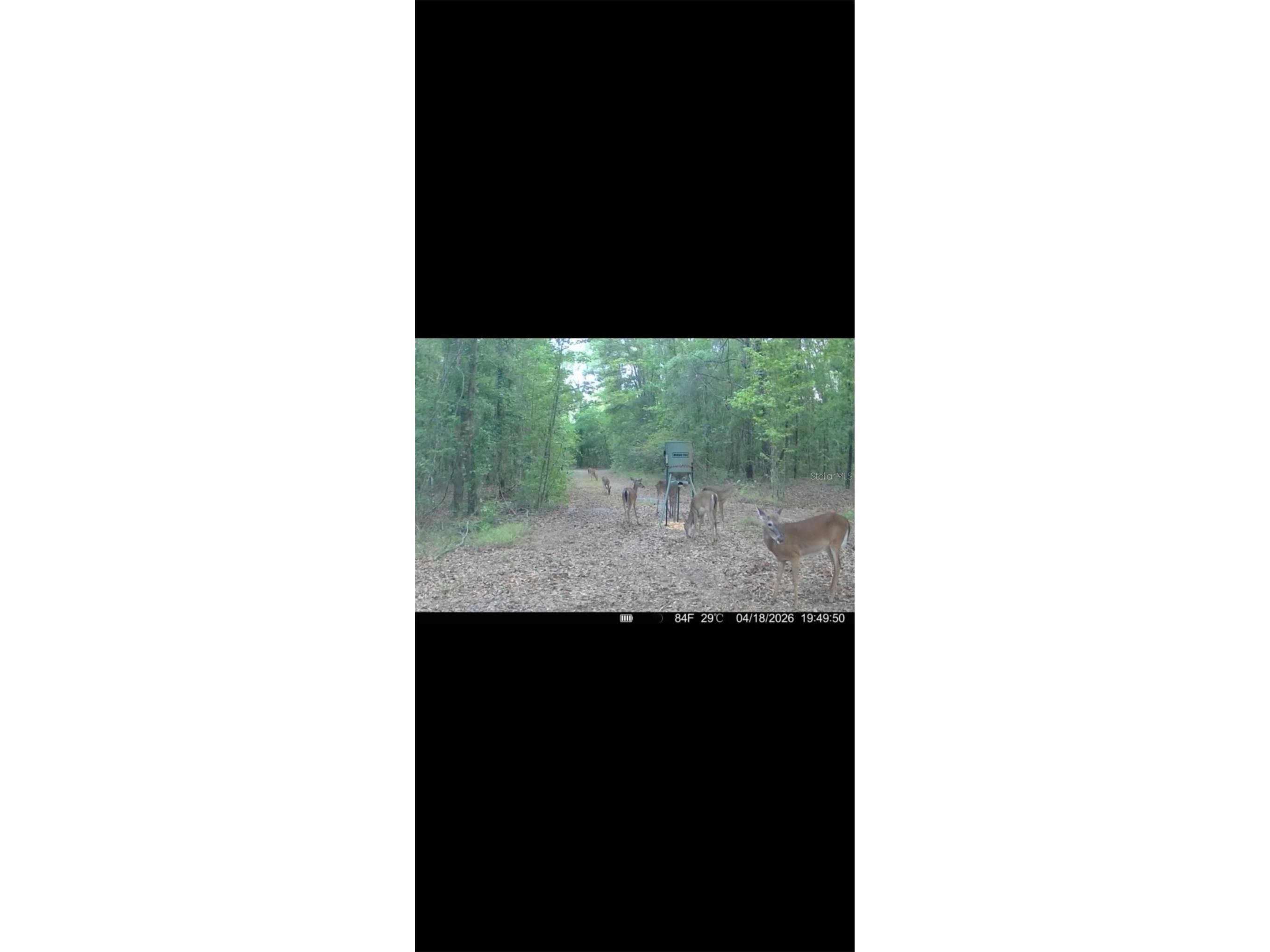 4814 NW 244 Avenue Alachua FL 32615 GC539967 image81