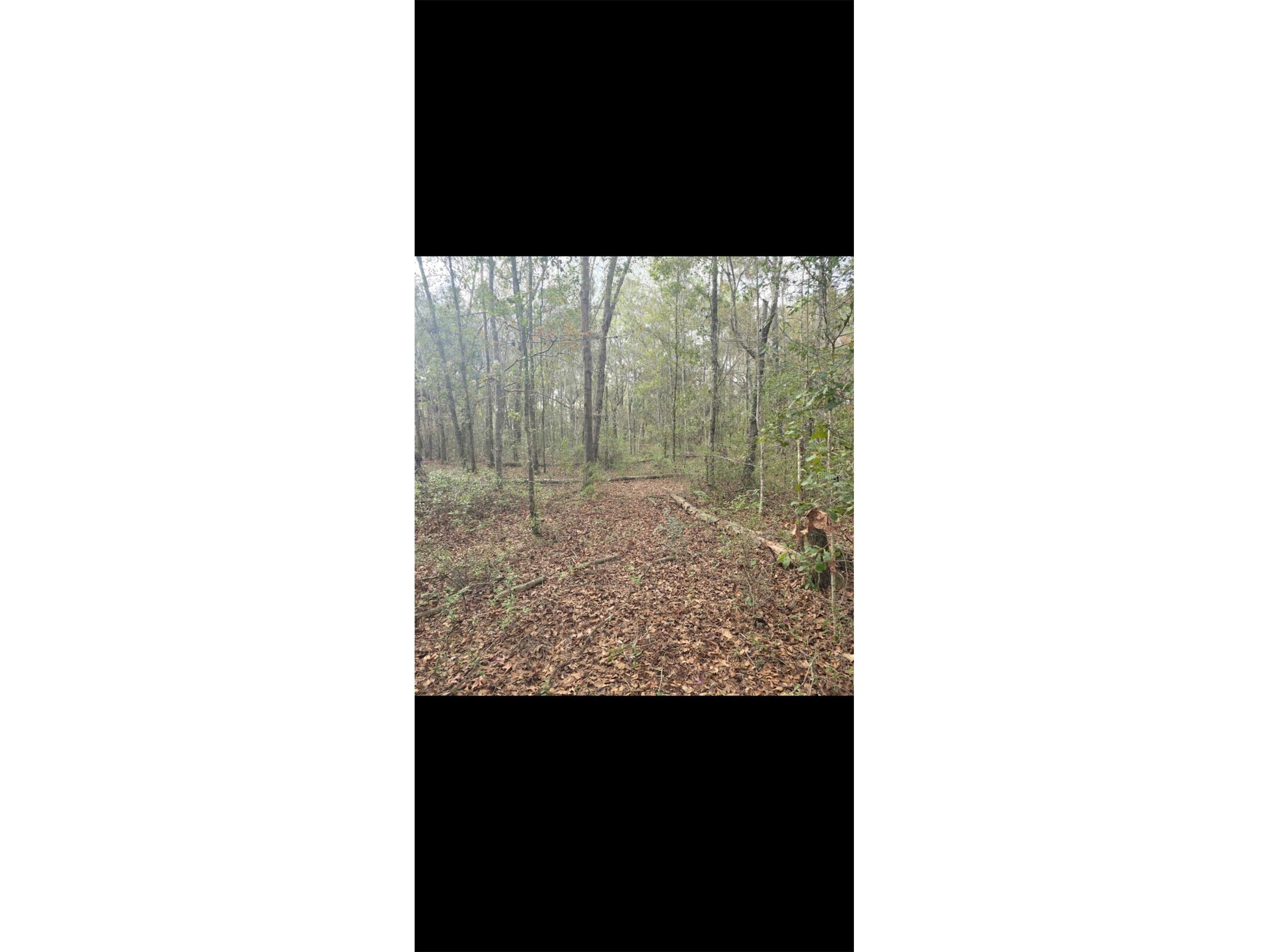 4814 NW 244 Avenue Alachua FL 32615 GC539967 image84