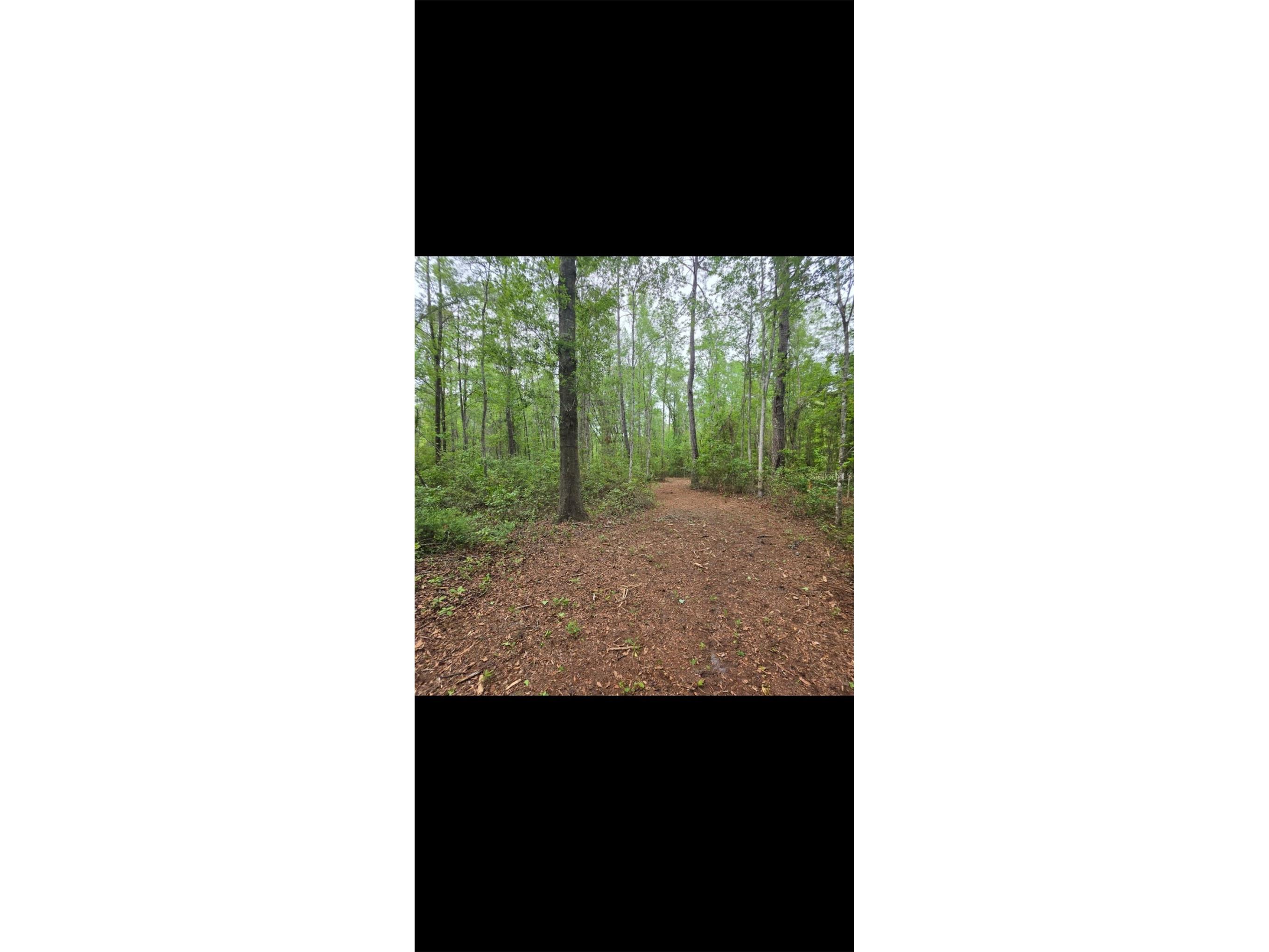 4814 NW 244 Avenue Alachua FL 32615 GC539967 image85