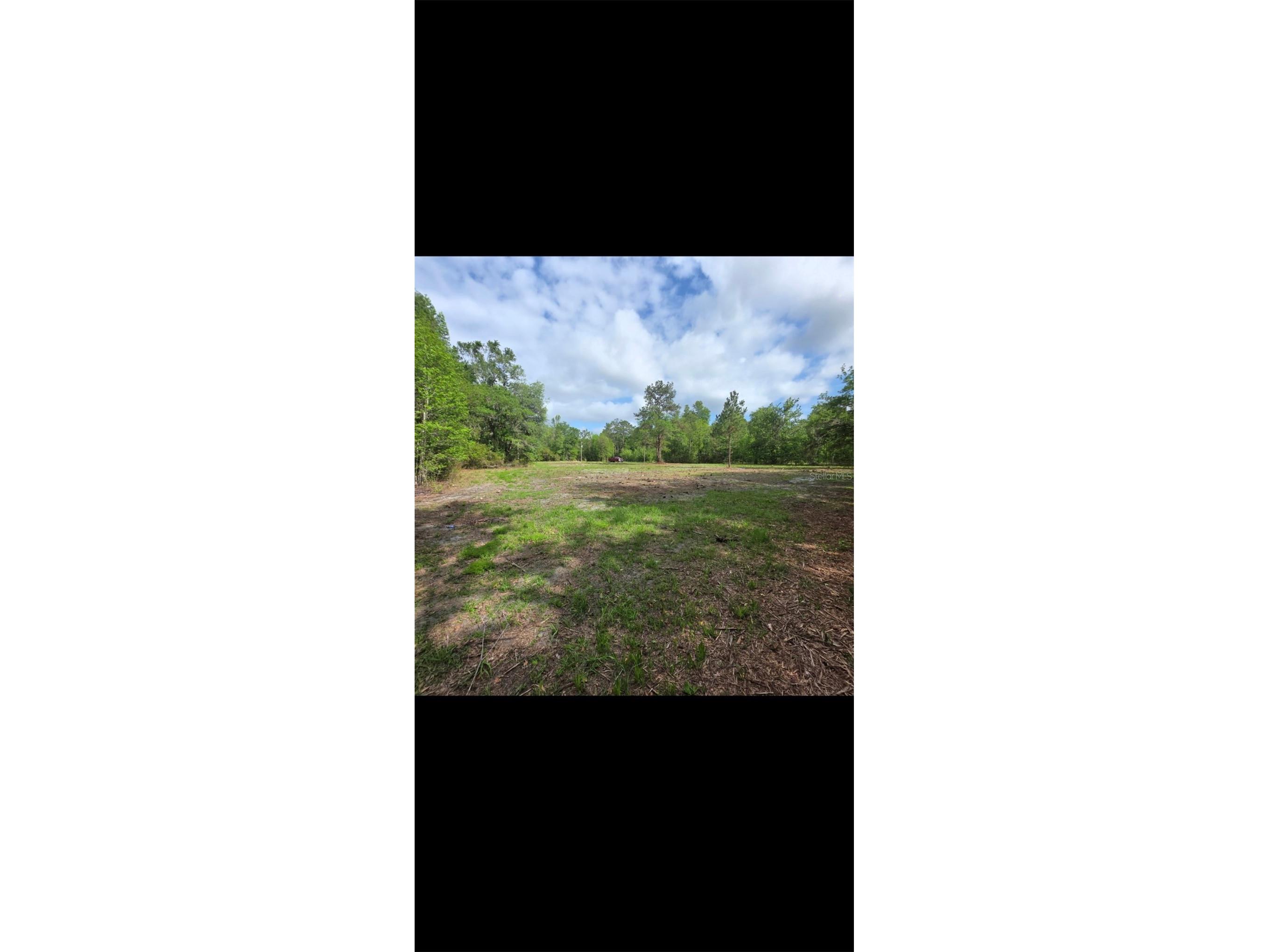 4814 NW 244 Avenue Alachua FL 32615 GC539967 image87