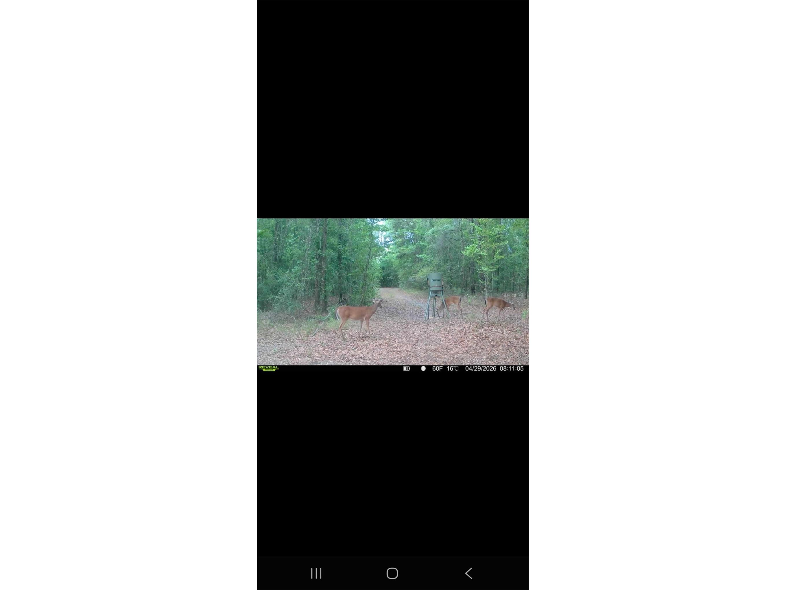 4814 NW 244 Avenue Alachua FL 32615 GC539967 image92