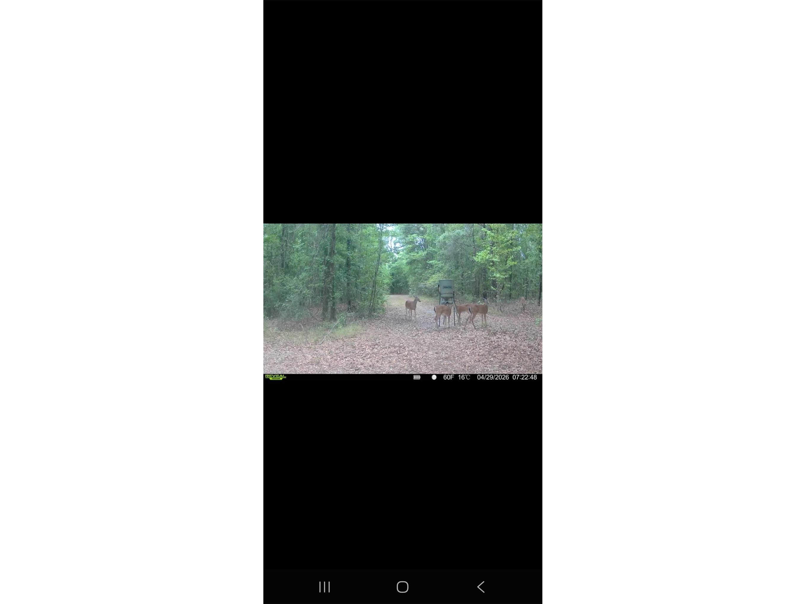 4814 NW 244 Avenue Alachua FL 32615 GC539967 image93