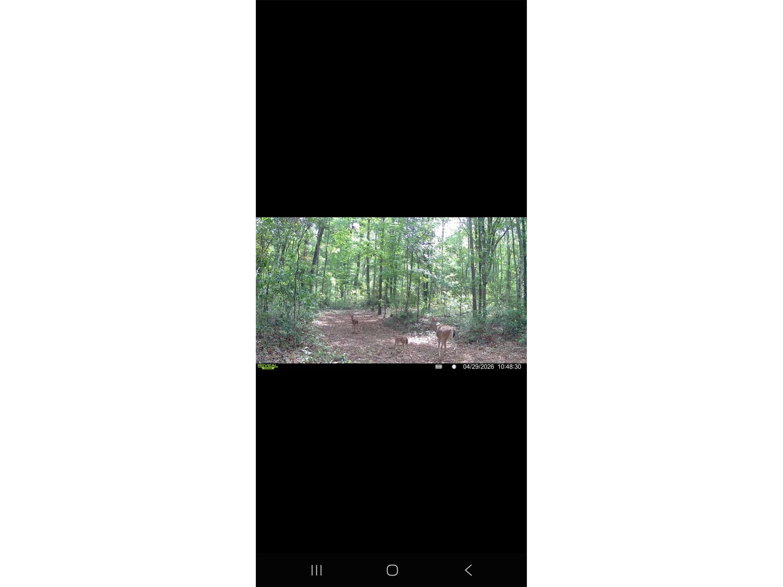 4814 NW 244 Avenue Alachua FL 32615 GC539967 image94