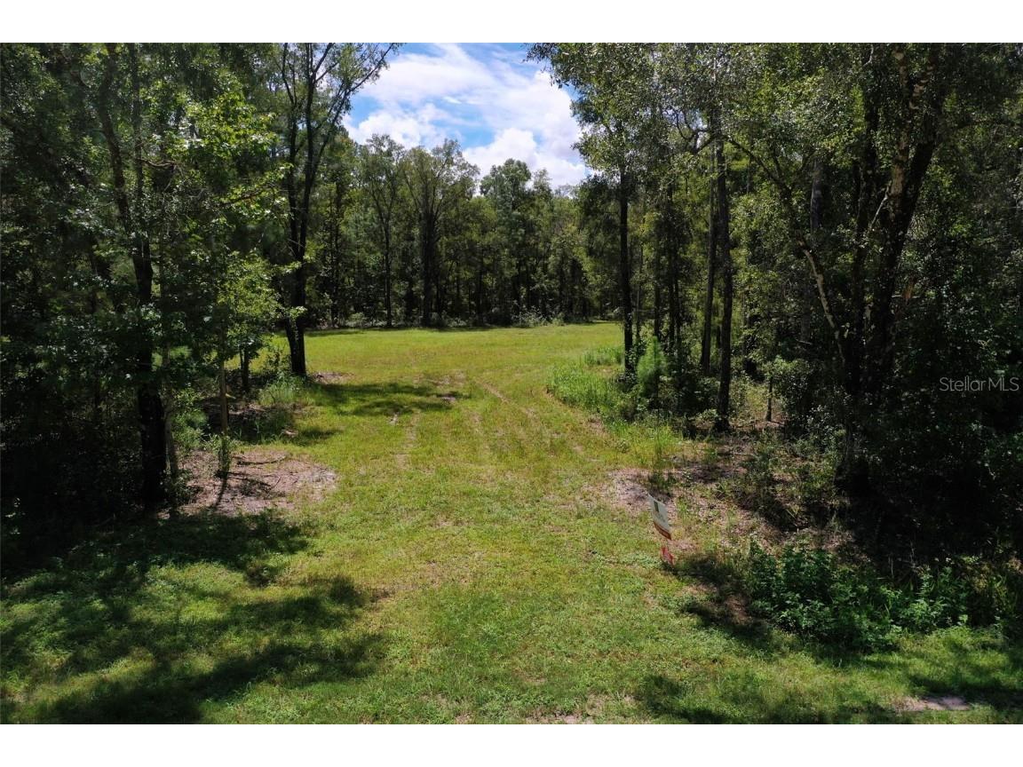 4815 Olaf Street Hastings FL 32145 FC312192 image1