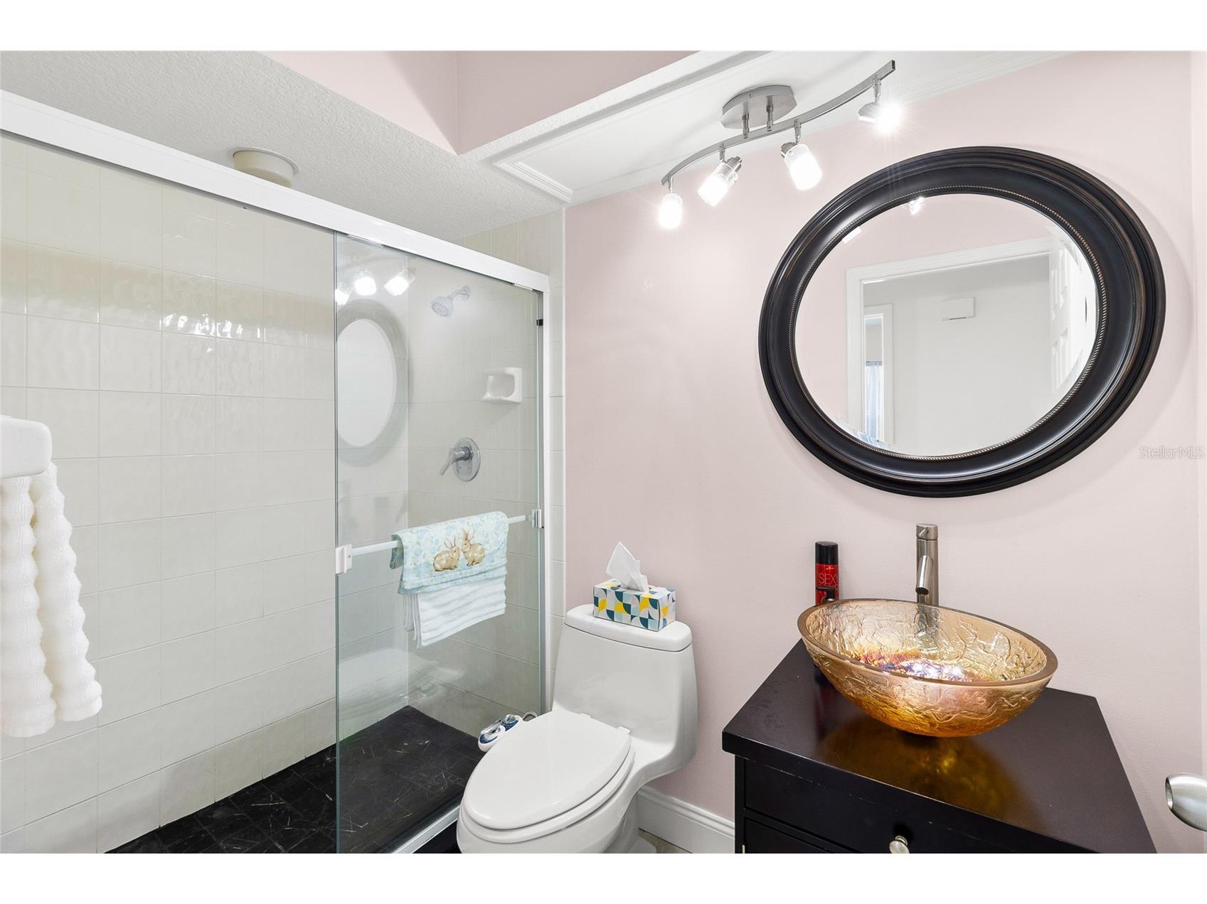 4815 Queen Palm Terrace NE Saint Petersburg FL 33703 - LAKE PLACIDO BAYOU TB8496804 image26