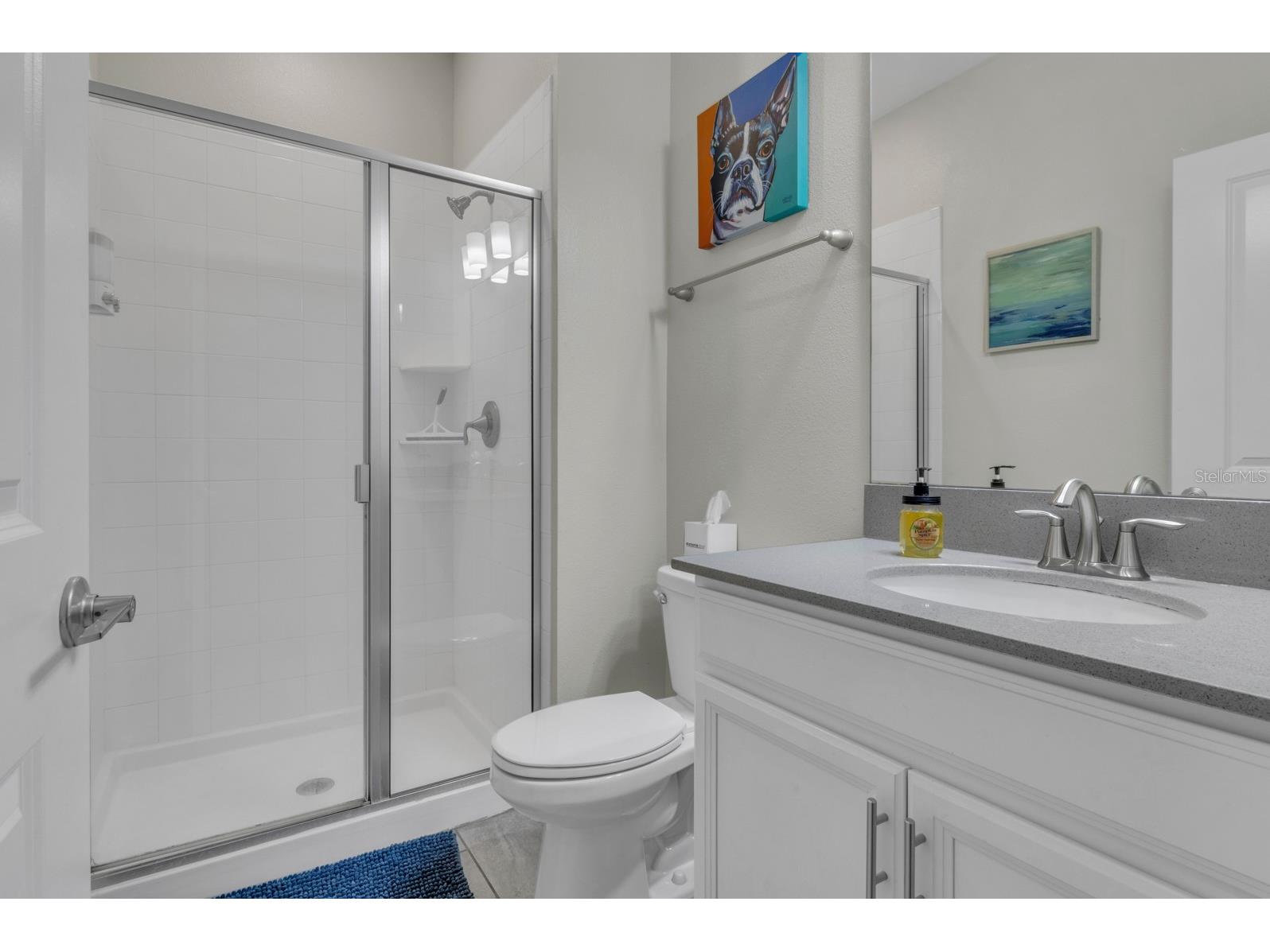 4815 S Love Storey Lane Kissimmee FL 34746 A4684256 image12