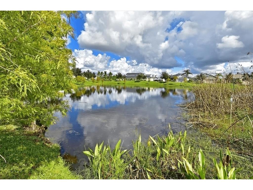4815 Woodbrook Drive Sarasota FL 34243 TB8495667 image25