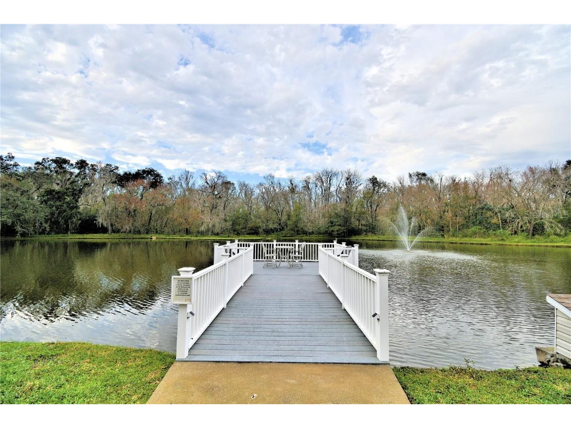 4816 Goldenview Lane Lakeland FL 33811 L4955982 image41