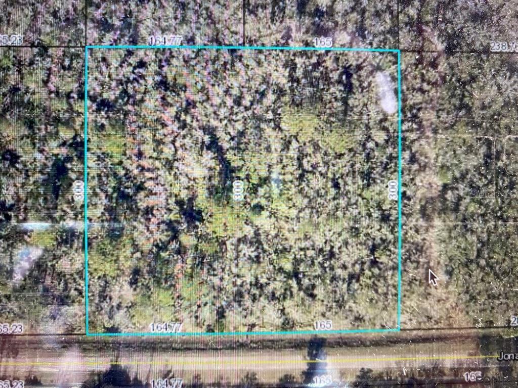 4816 Jonathan Street Hastings FL 32145 FC270420 image2