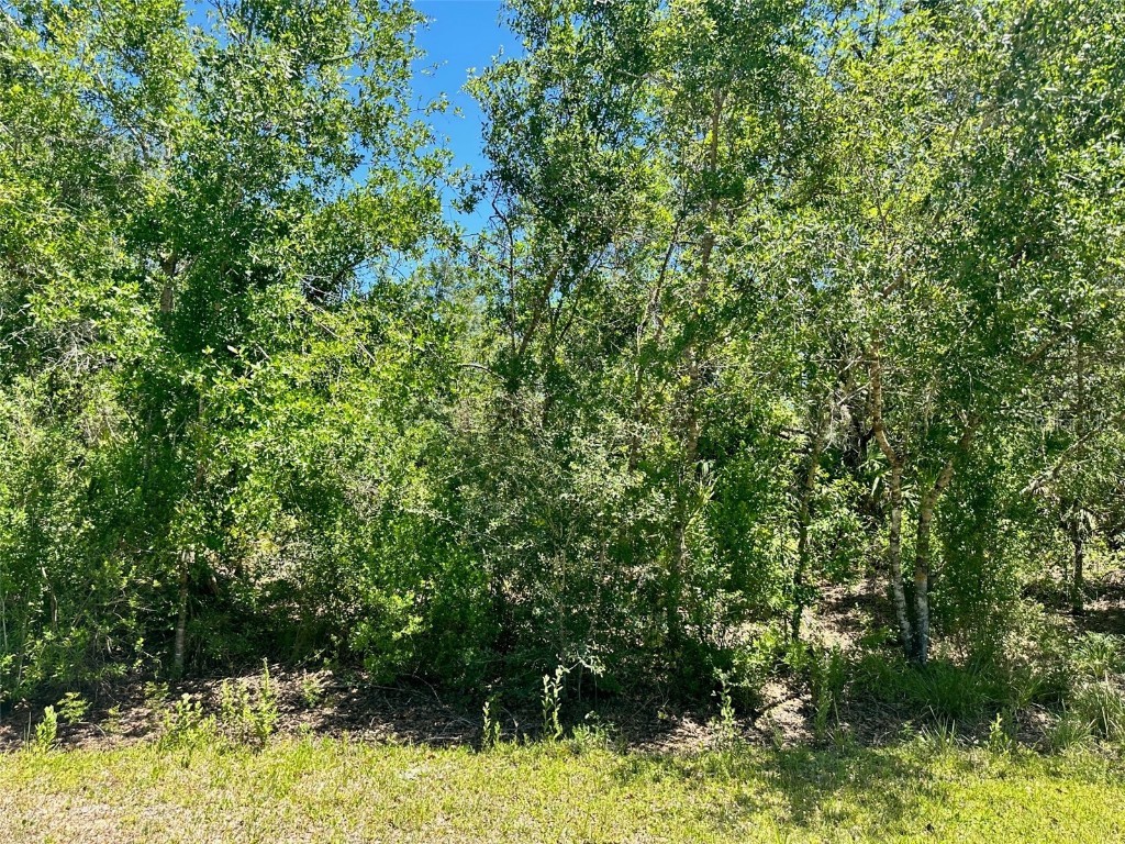 4816 SE Rye Avenue Arcadia FL 34266 C7474254 image1