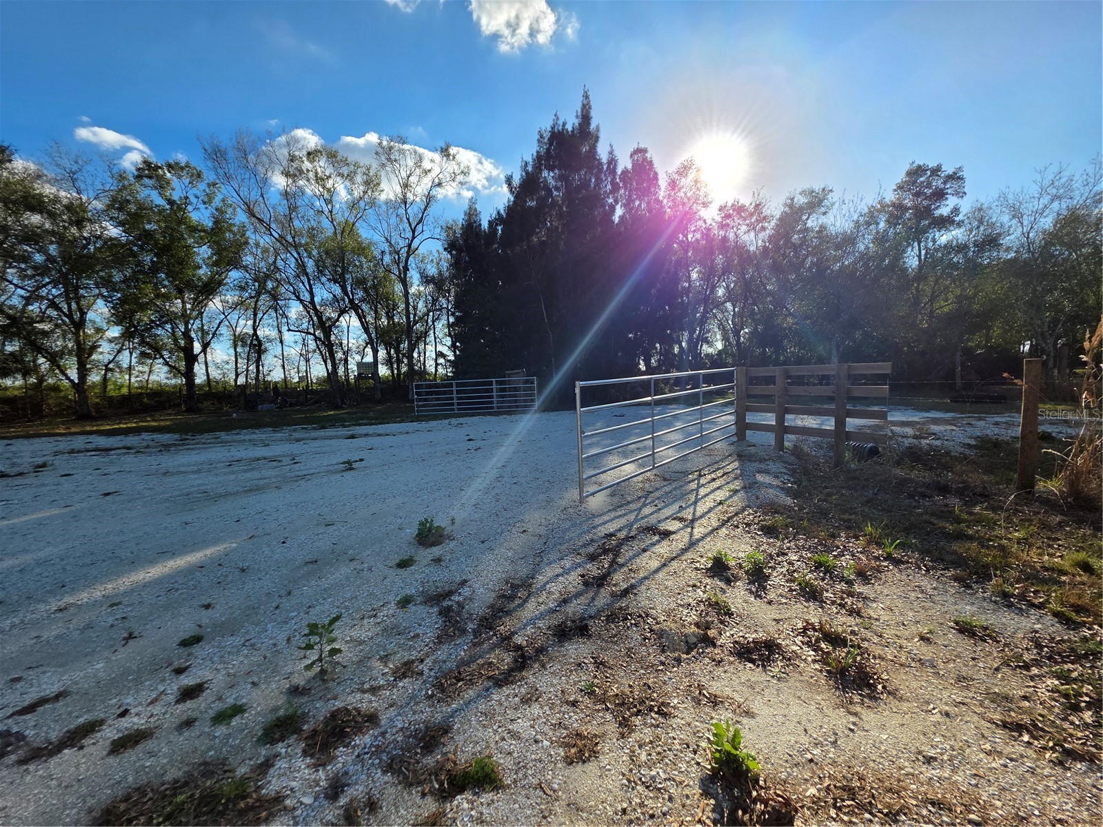 4816 SE Wheat Avenue Arcadia FL 34266 D6145681 image13