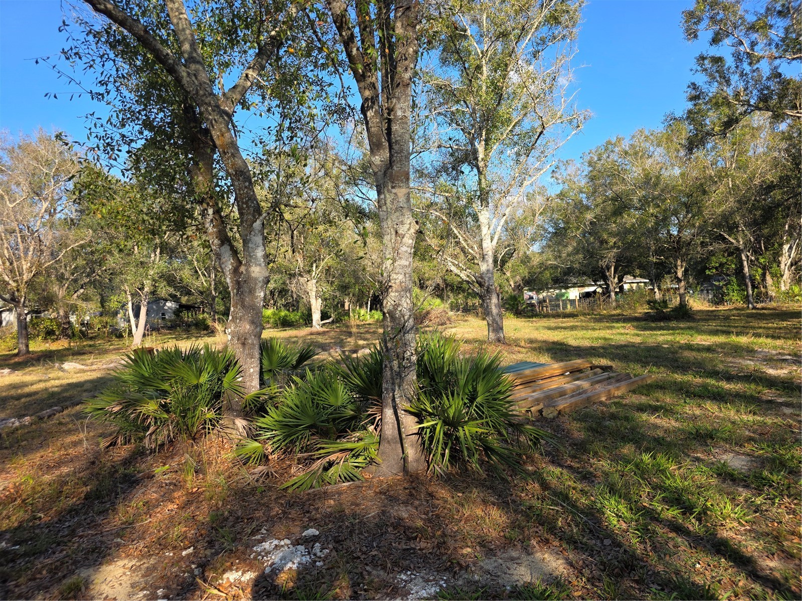 4816 SE Wheat Avenue Arcadia FL 34266 D6145681 image15