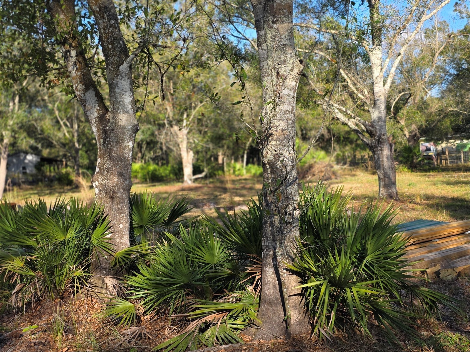 4816 SE Wheat Avenue Arcadia FL 34266 D6145681 image9